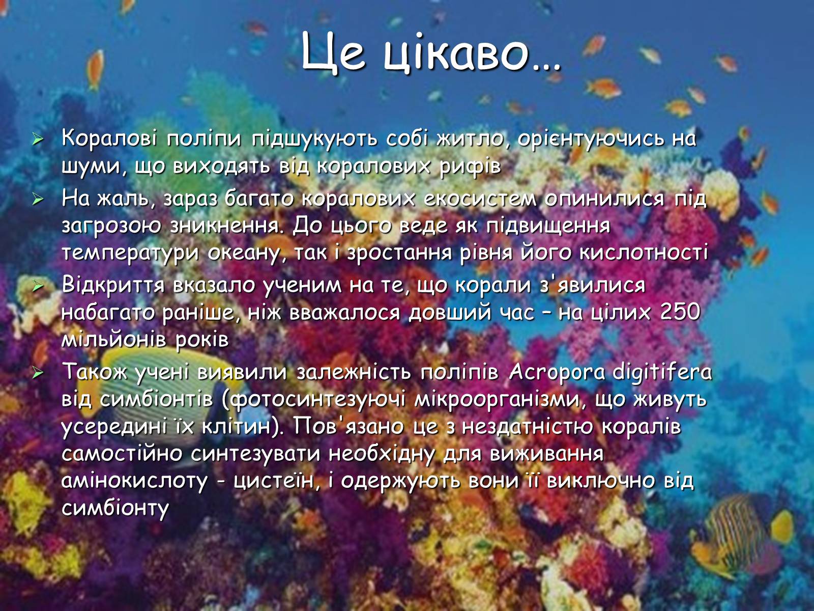Презентація на тему «Коралові поліпи» - Слайд #6 Презентація на тему «Коралові поліпи» - Слайд #6