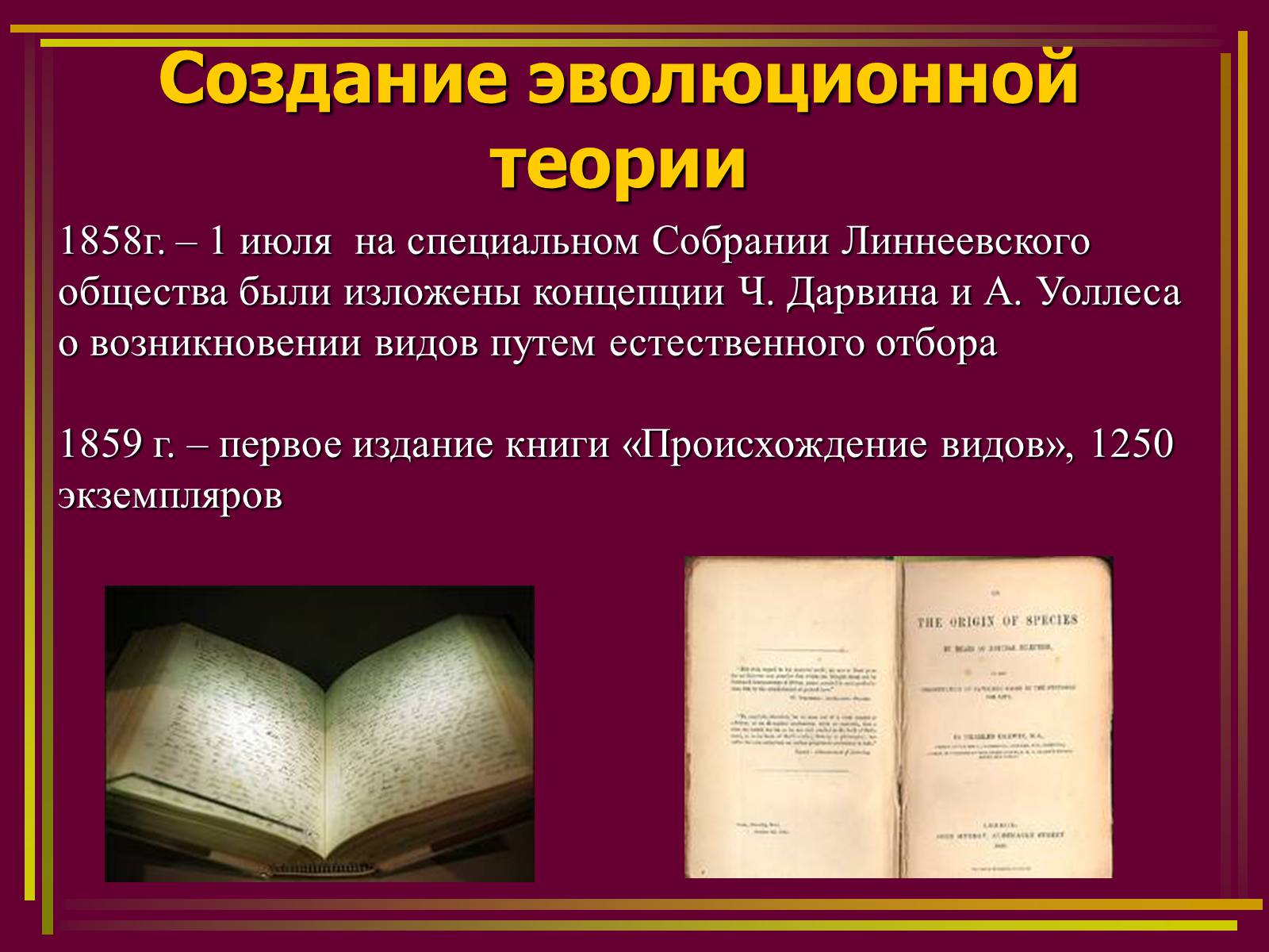 Презентація на тему «Дарвинизм» - Слайд #10 Презентація на тему «Дарвинизм» - Слайд #10