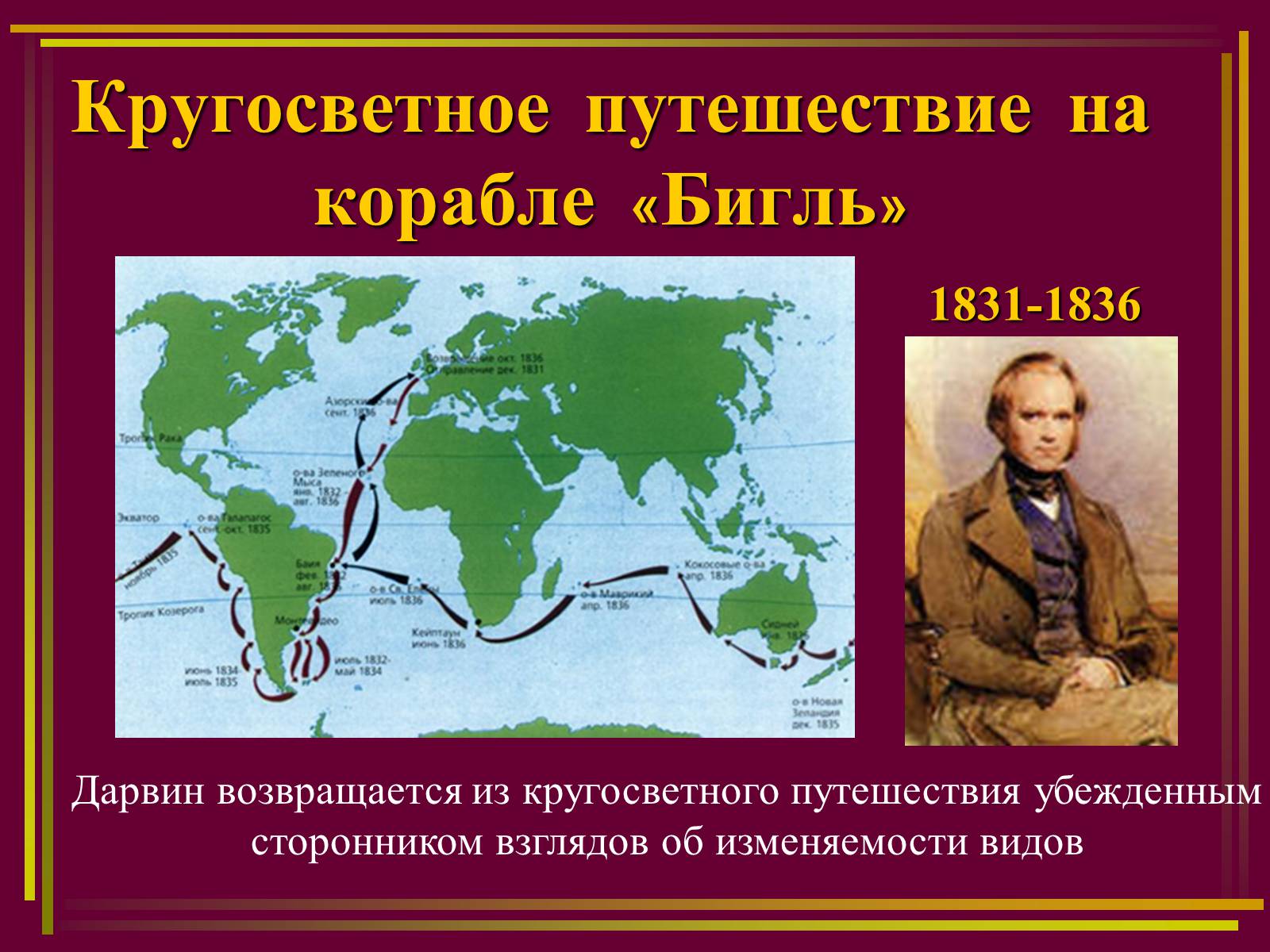 Презентація на тему «Дарвинизм» - Слайд #4 Презентація на тему «Дарвинизм» - Слайд #4