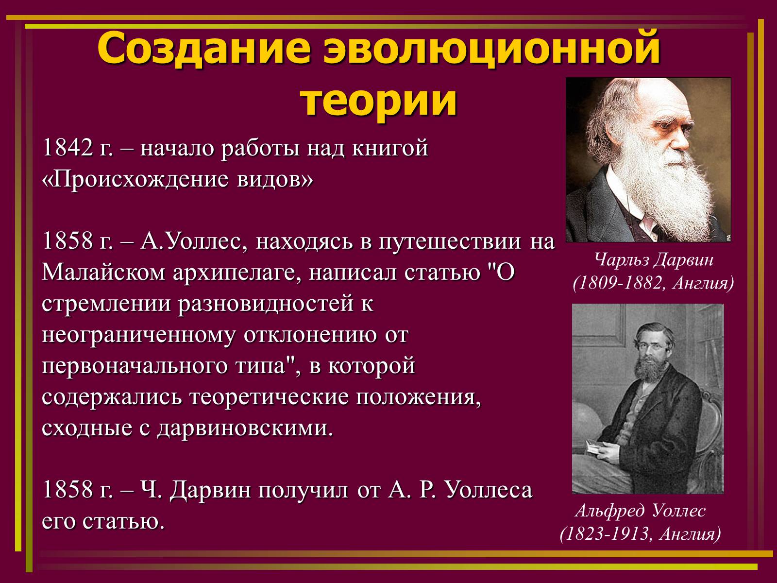 Презентація на тему «Дарвинизм» - Слайд #9 Презентація на тему «Дарвинизм» - Слайд #9