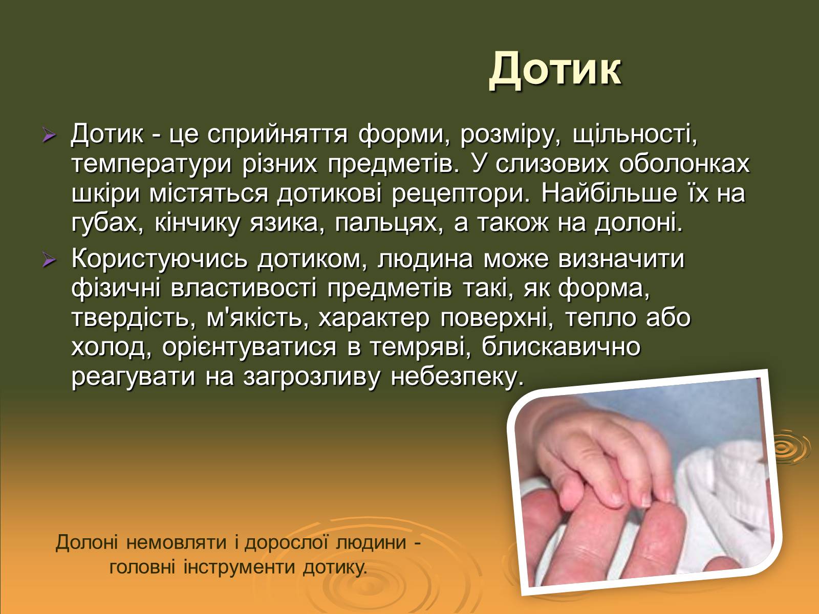 Презентація на тему «Сенсорні системи» - Слайд #11 Презентація на тему «Сенсорні системи» - Слайд #11