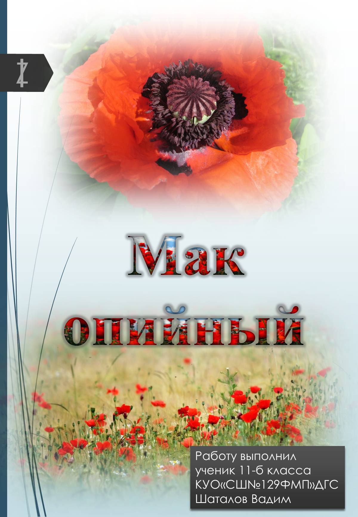 Презентація на тему «Мак опийный» - Слайд #1