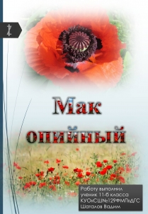 Презентація на тему «Мак опийный»