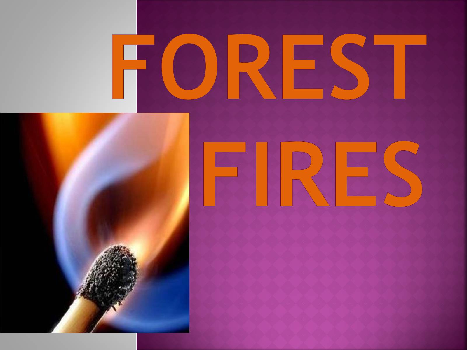 Презентація на тему «Forest fire» (варіант 2) - Слайд #1 Презентація на тему «Forest fire» (варіант 2) - Слайд #1