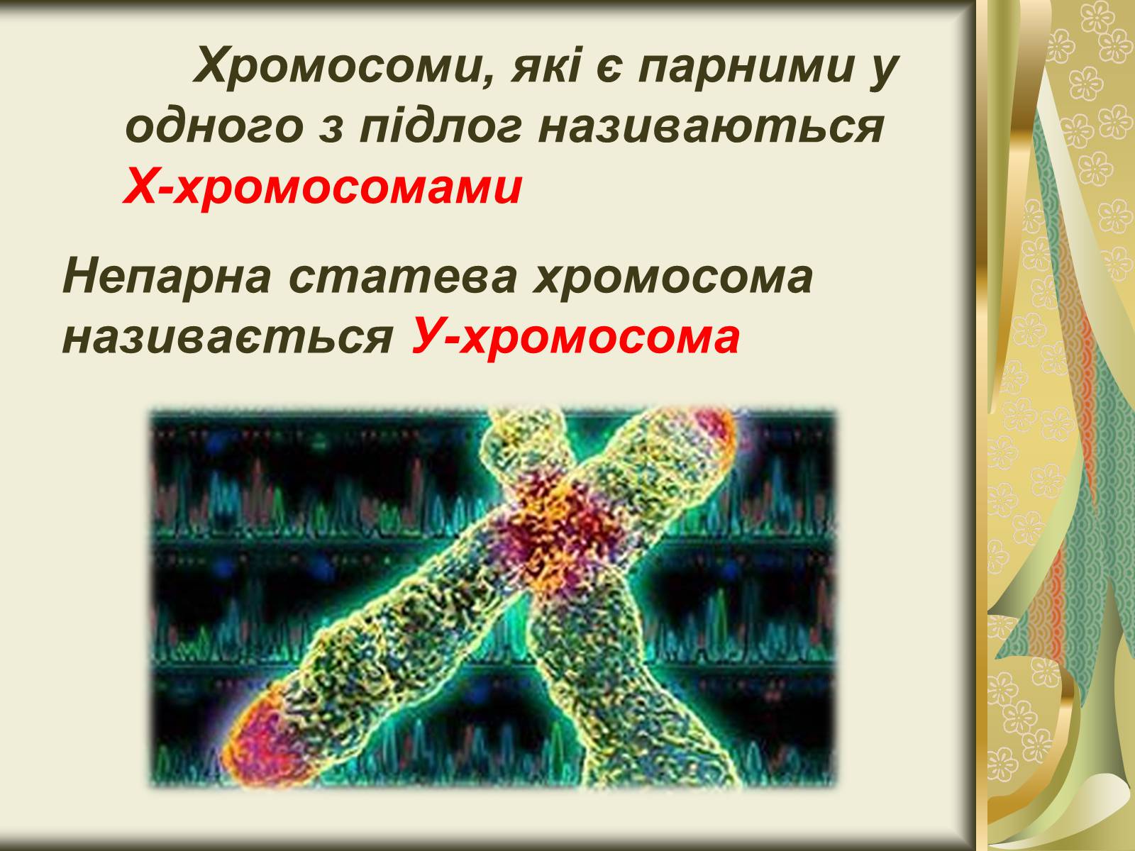 Презентація на тему «Генетика статі» - Слайд #4 Презентація на тему «Генетика статі» - Слайд #4