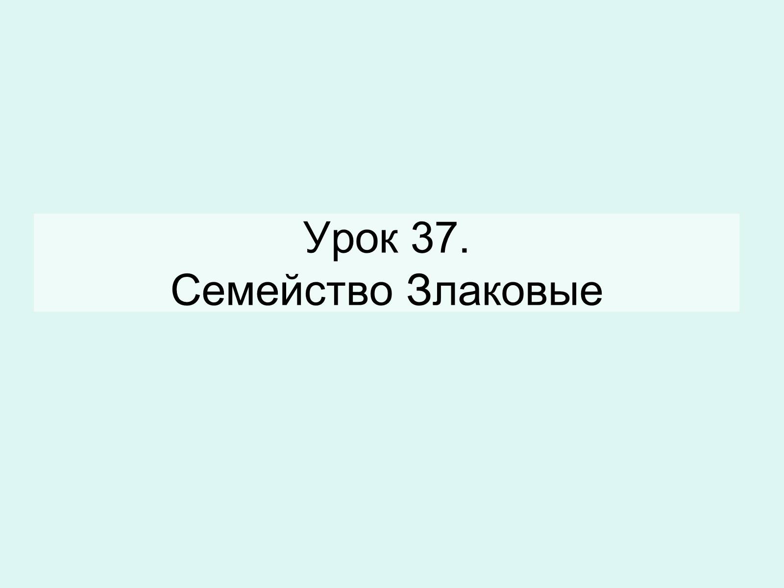 Презентація на тему «Семейство Злаковые» - Слайд #1