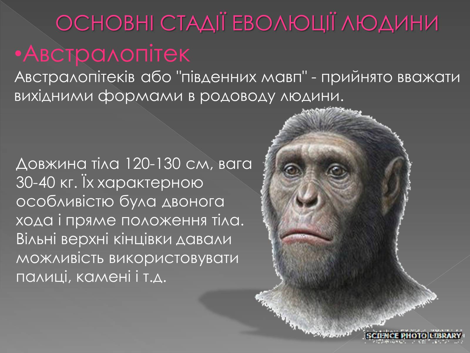 Презентація на тему «Теорії походження людини» (варіант 1) - Слайд #6 Презентація на тему «Теорії походження людини» (варіант 1) - Слайд #6