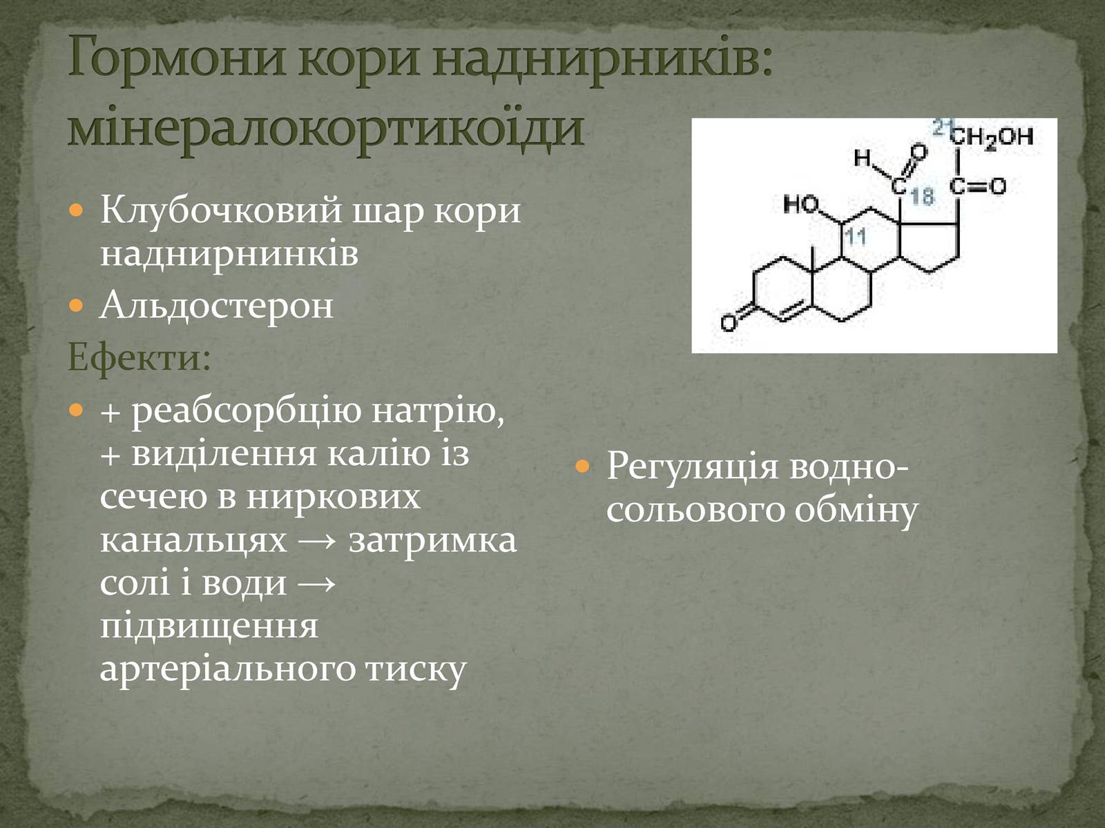 Презентація на тему «Ендокринна система» - Слайд #18 Презентація на тему «Ендокринна система» - Слайд #18