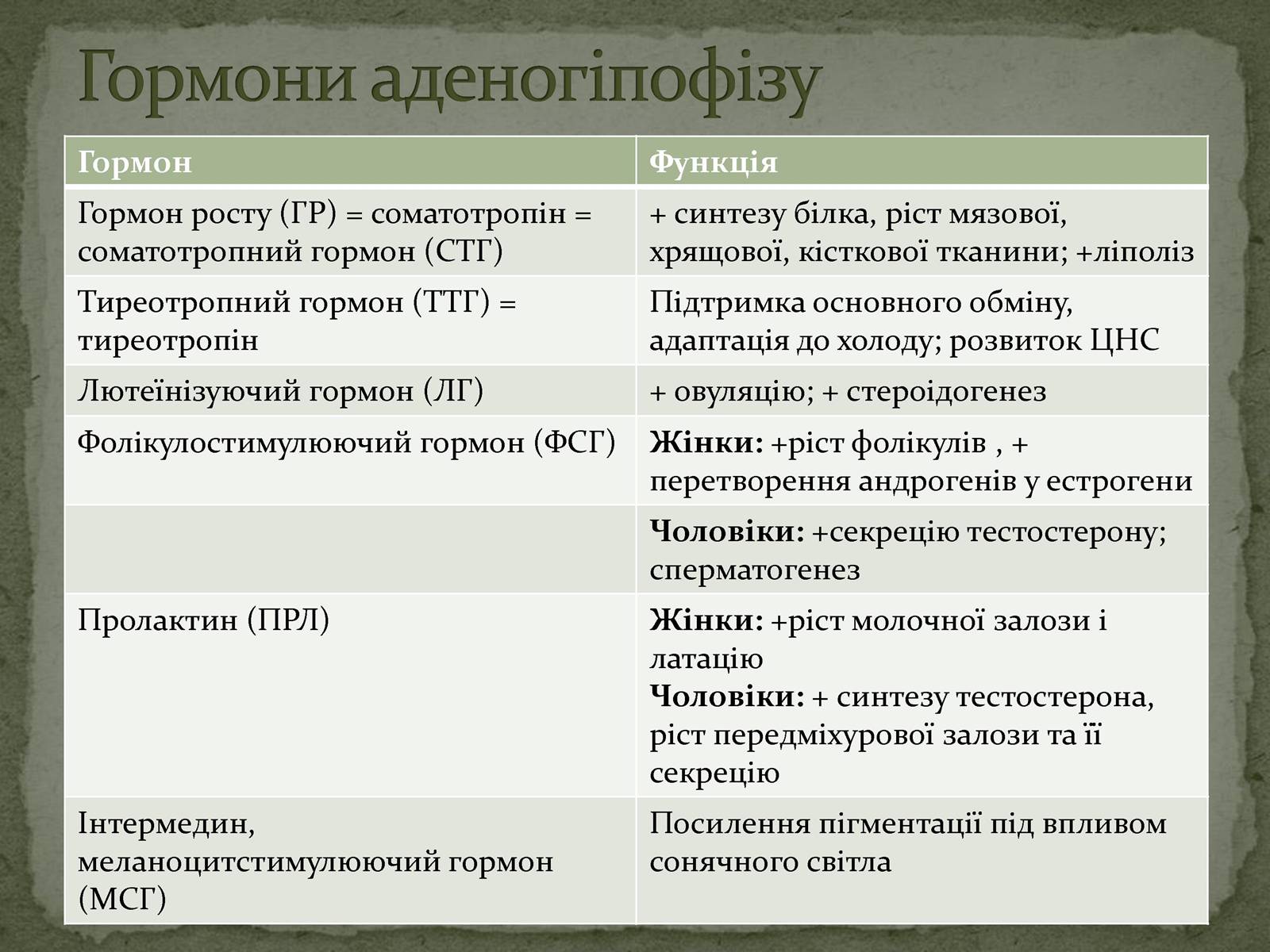 Презентація на тему «Ендокринна система» - Слайд #25 Презентація на тему «Ендокринна система» - Слайд #25