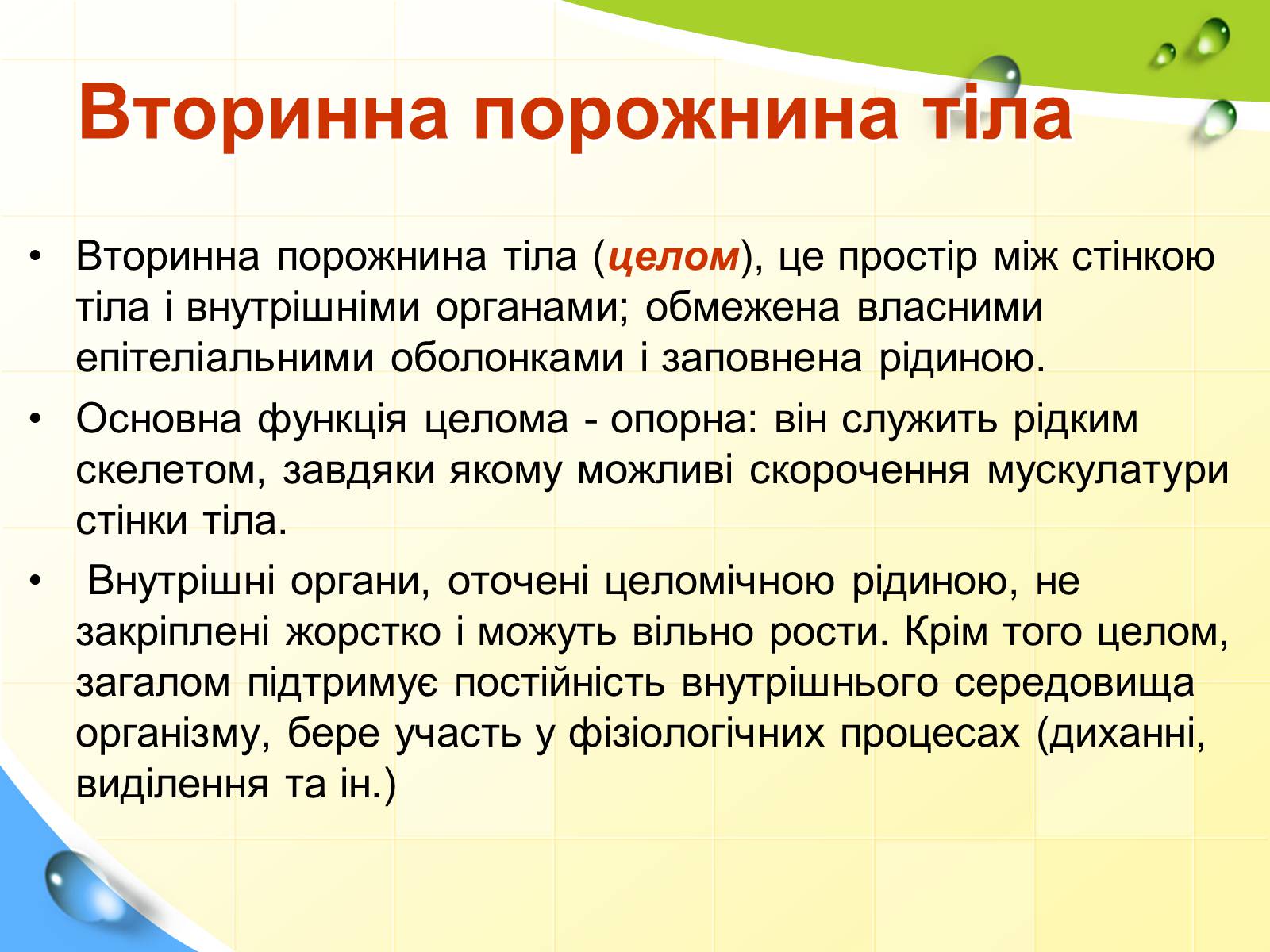 Презентація на тему «Порожнини тіла тварин» - Слайд #11 Презентація на тему «Порожнини тіла тварин» - Слайд #11