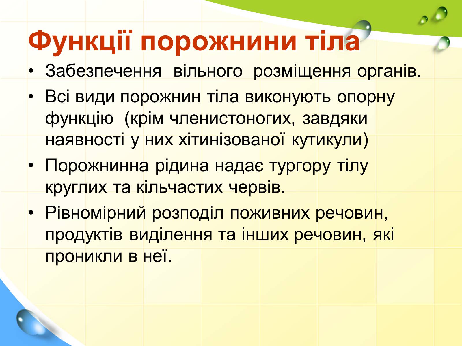 Презентація на тему «Порожнини тіла тварин» - Слайд #22 Презентація на тему «Порожнини тіла тварин» - Слайд #22