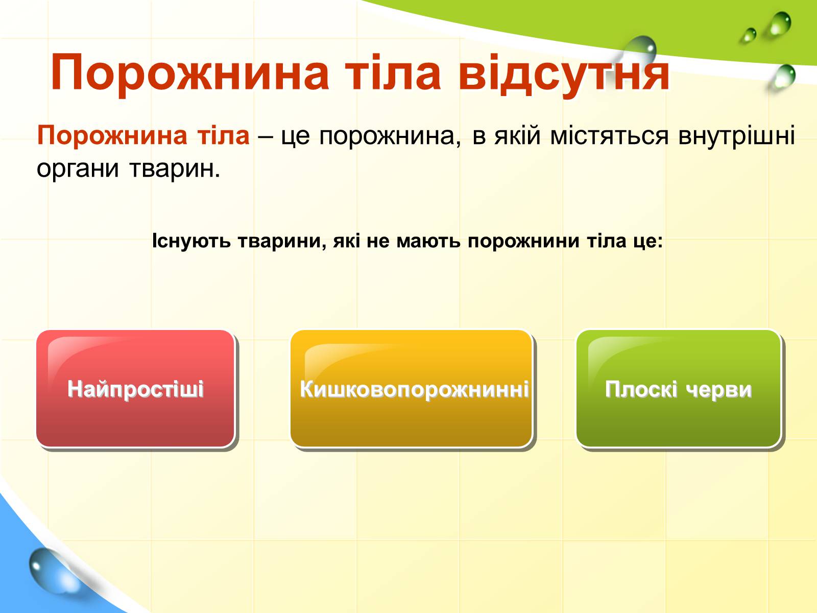 Презентація на тему «Порожнини тіла тварин» - Слайд #3 Презентація на тему «Порожнини тіла тварин» - Слайд #3
