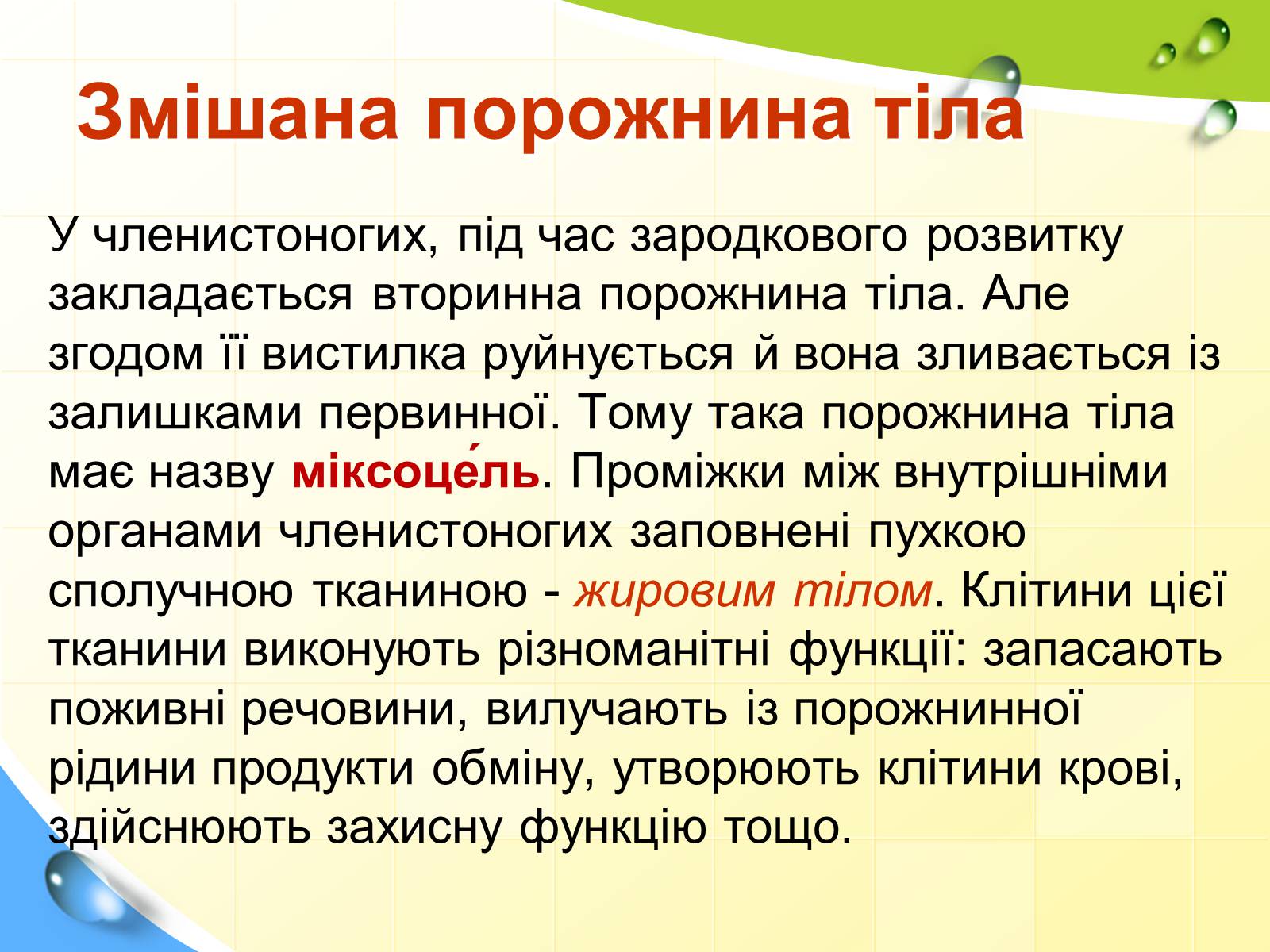 Презентація на тему «Порожнини тіла тварин» - Слайд #9 Презентація на тему «Порожнини тіла тварин» - Слайд #9