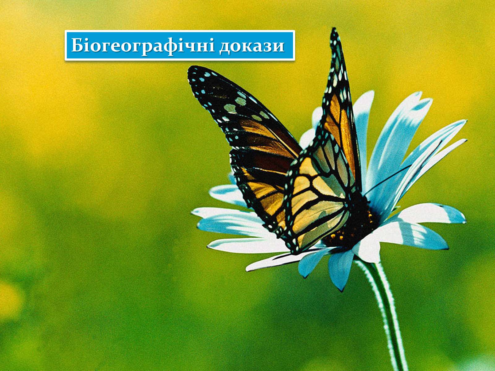 Презентація на тему «Докази еволюції» - Слайд #16 Презентація на тему «Докази еволюції» - Слайд #16