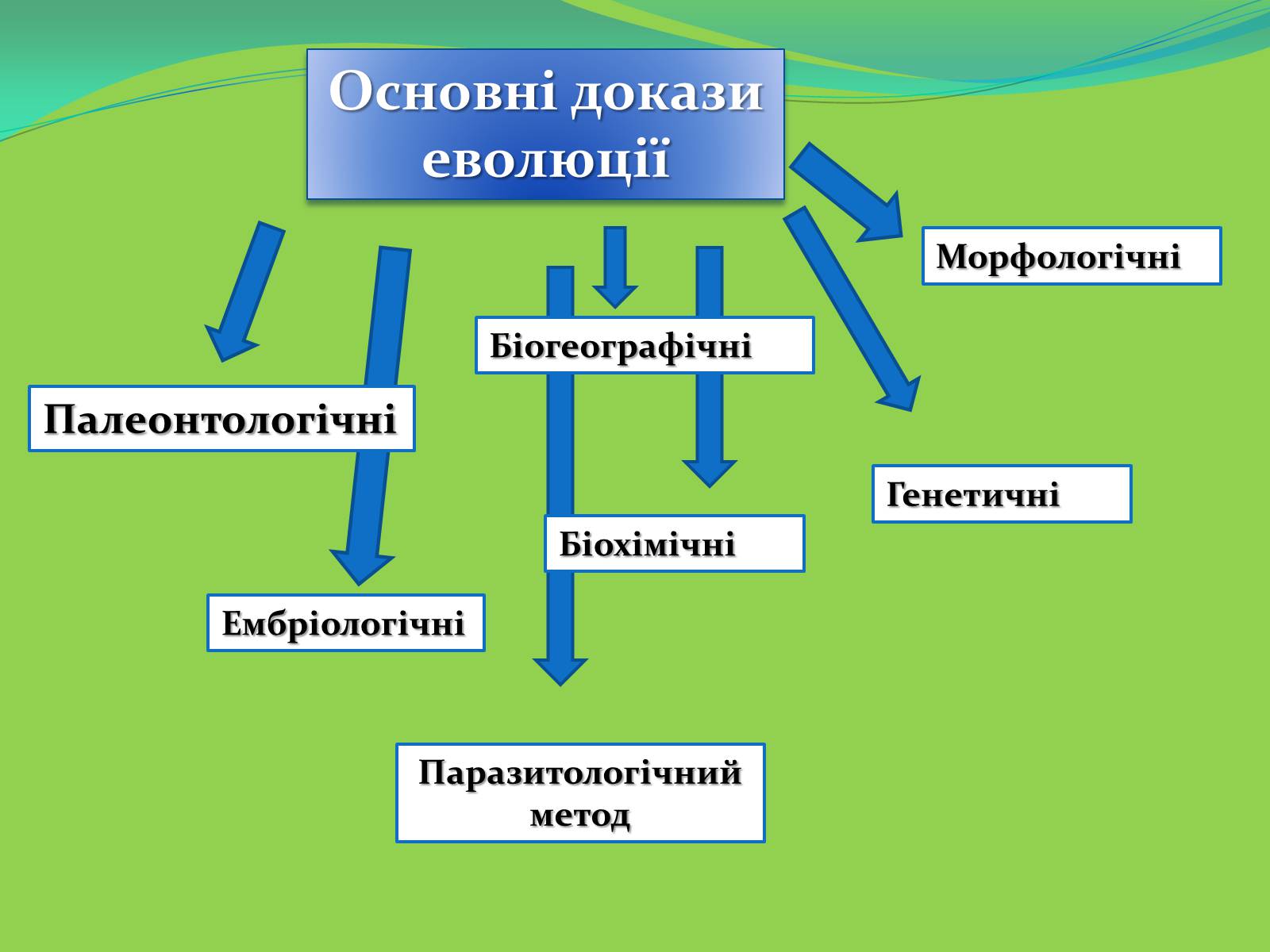 Презентація на тему «Докази еволюції» - Слайд #2 Презентація на тему «Докази еволюції» - Слайд #2