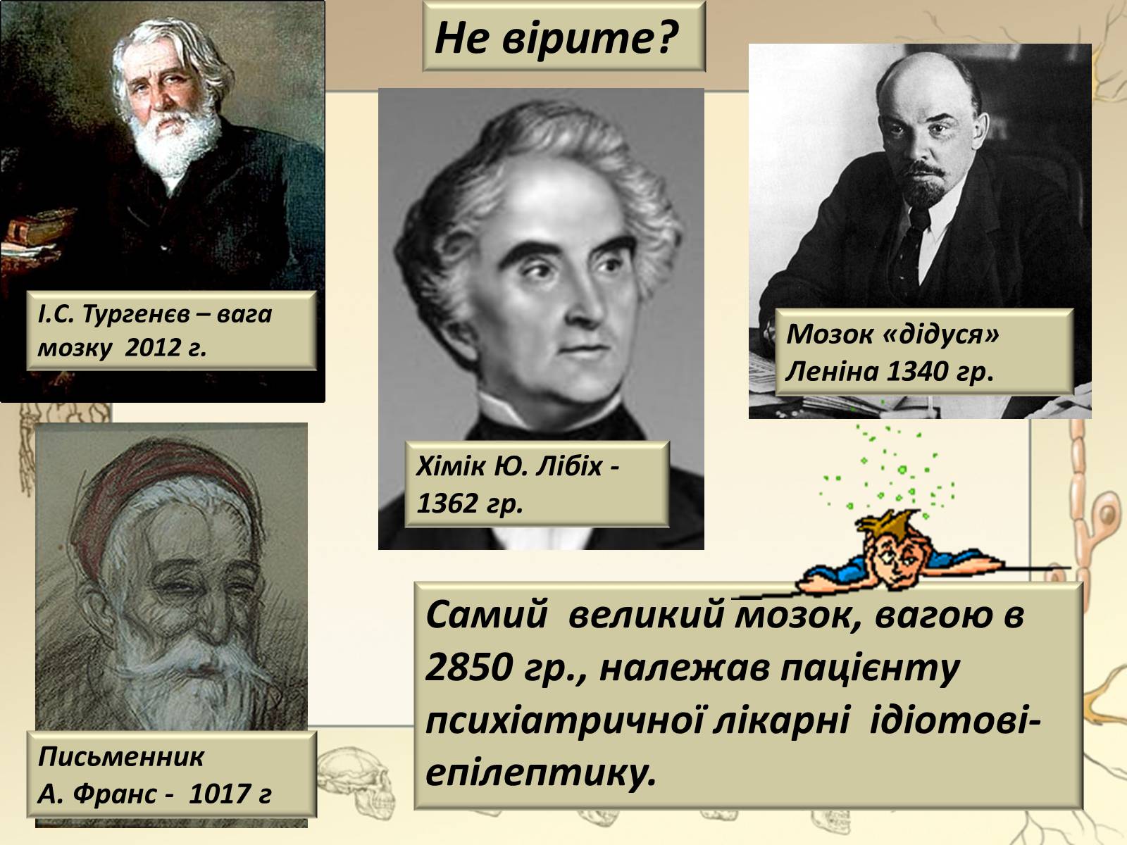 Презентація на тему «Будова і функції головного мозку. Загальна характеристика» - Слайд #12 Презентація на тему «Будова і функції головного мозку. Загальна характеристика» - Слайд #12
