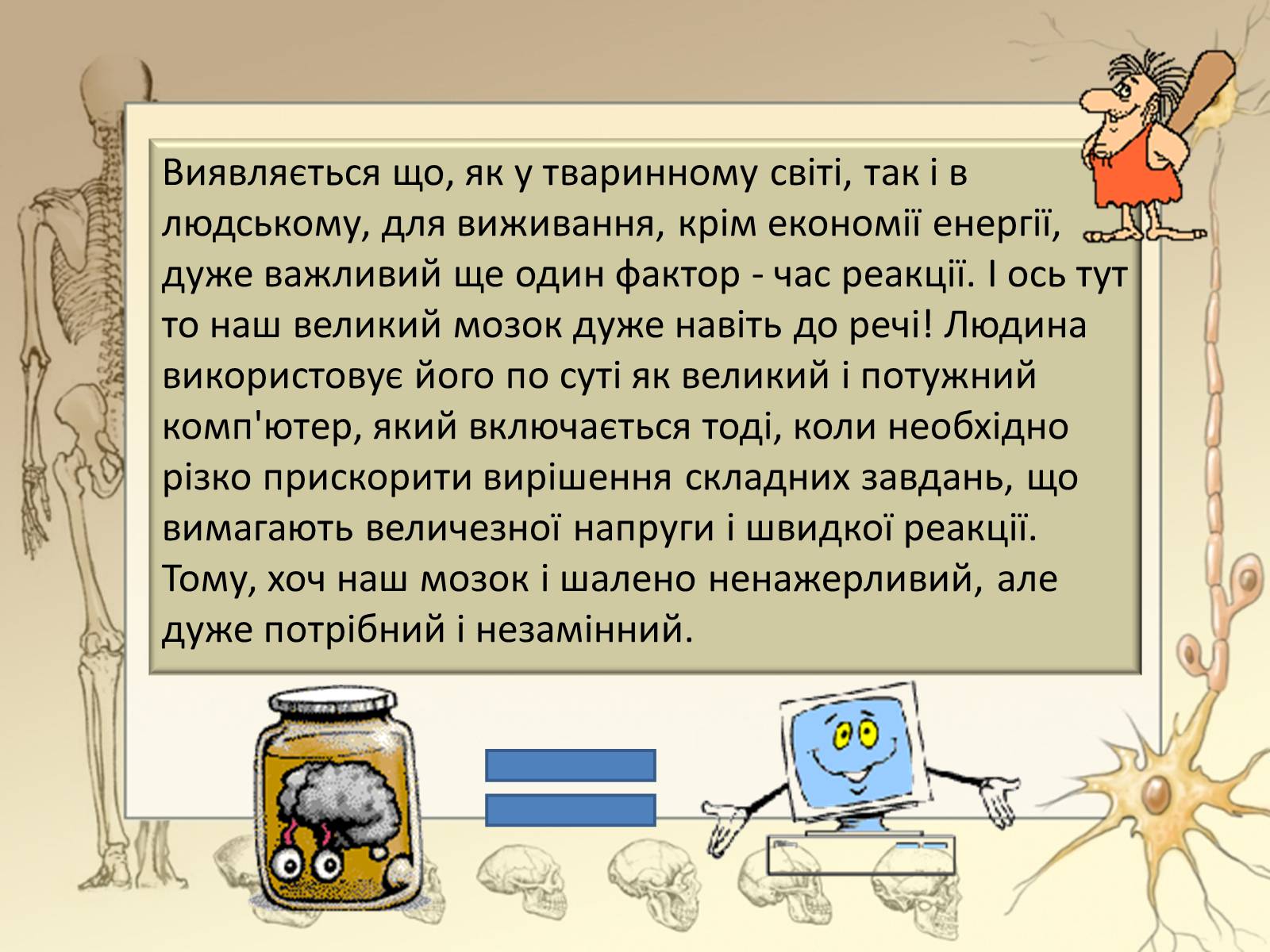 Презентація на тему «Будова і функції головного мозку. Загальна характеристика» - Слайд #14 Презентація на тему «Будова і функції головного мозку. Загальна характеристика» - Слайд #14
