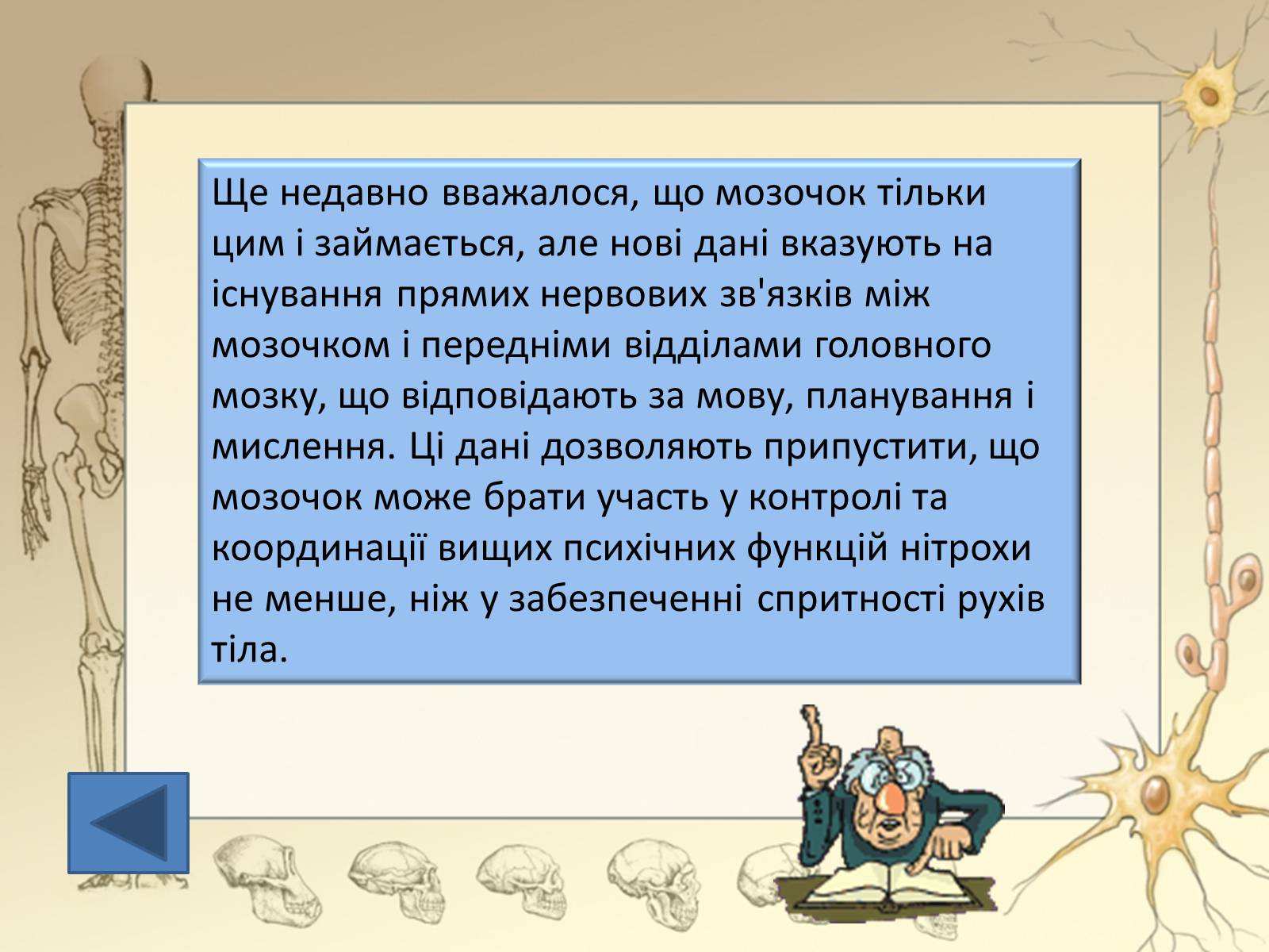 Презентація на тему «Будова і функції головного мозку. Загальна характеристика» - Слайд #26 Презентація на тему «Будова і функції головного мозку. Загальна характеристика» - Слайд #26