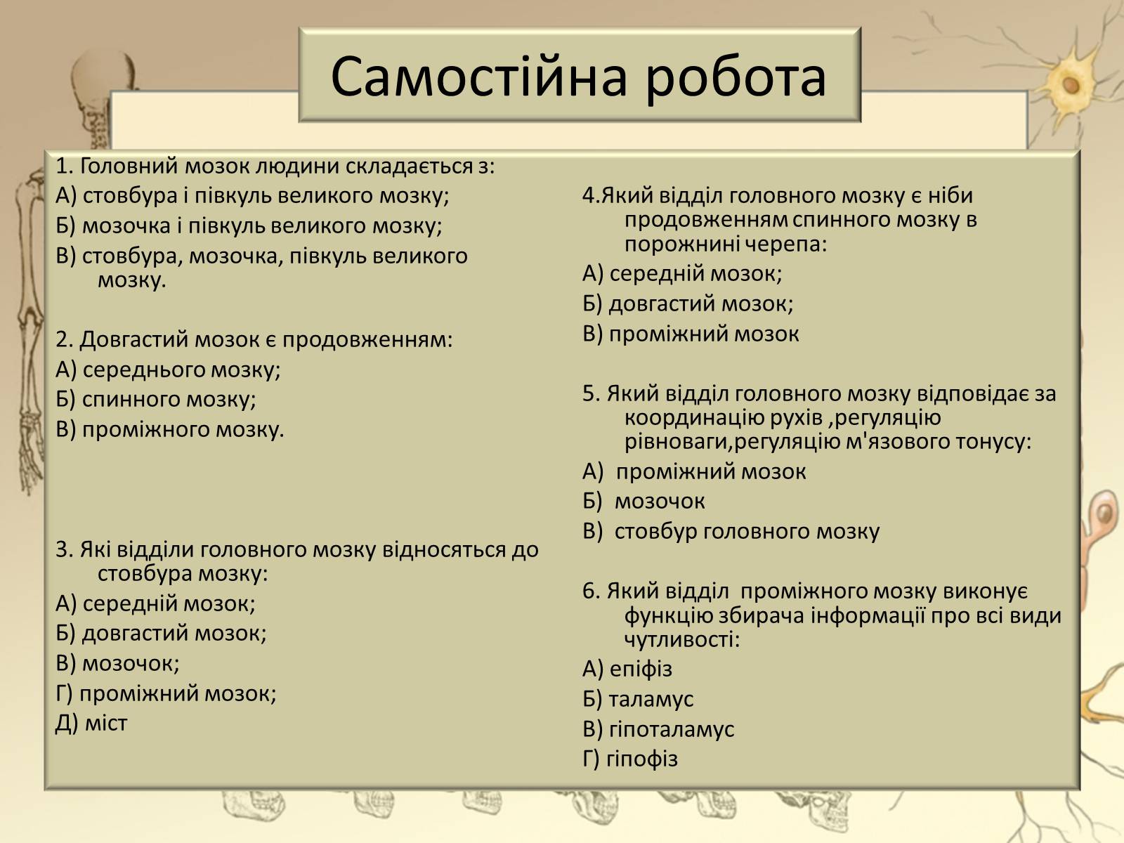 Презентація на тему «Будова і функції головного мозку. Загальна характеристика» - Слайд #37 Презентація на тему «Будова і функції головного мозку. Загальна характеристика» - Слайд #37