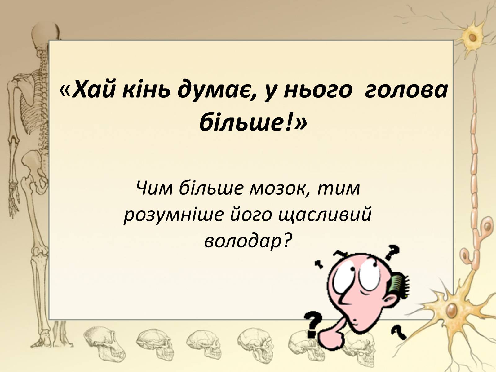 Презентація на тему «Будова і функції головного мозку. Загальна характеристика» - Слайд #4 Презентація на тему «Будова і функції головного мозку. Загальна характеристика» - Слайд #4
