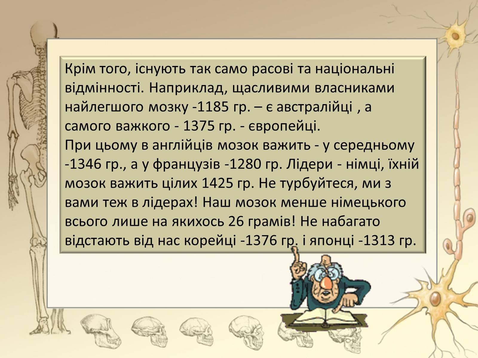 Презентація на тему «Будова і функції головного мозку. Загальна характеристика» - Слайд #9 Презентація на тему «Будова і функції головного мозку. Загальна характеристика» - Слайд #9