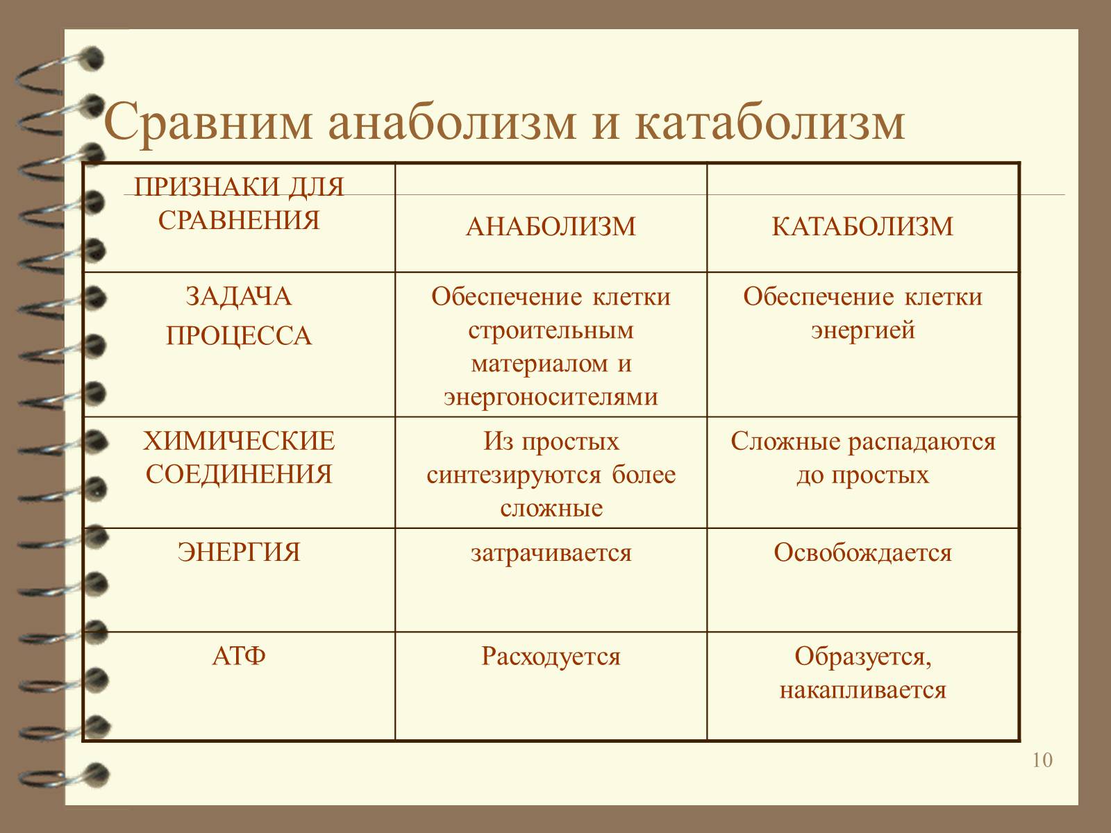 Презентація на тему «Метаболизм» - Слайд #10 Презентація на тему «Метаболизм» - Слайд #10