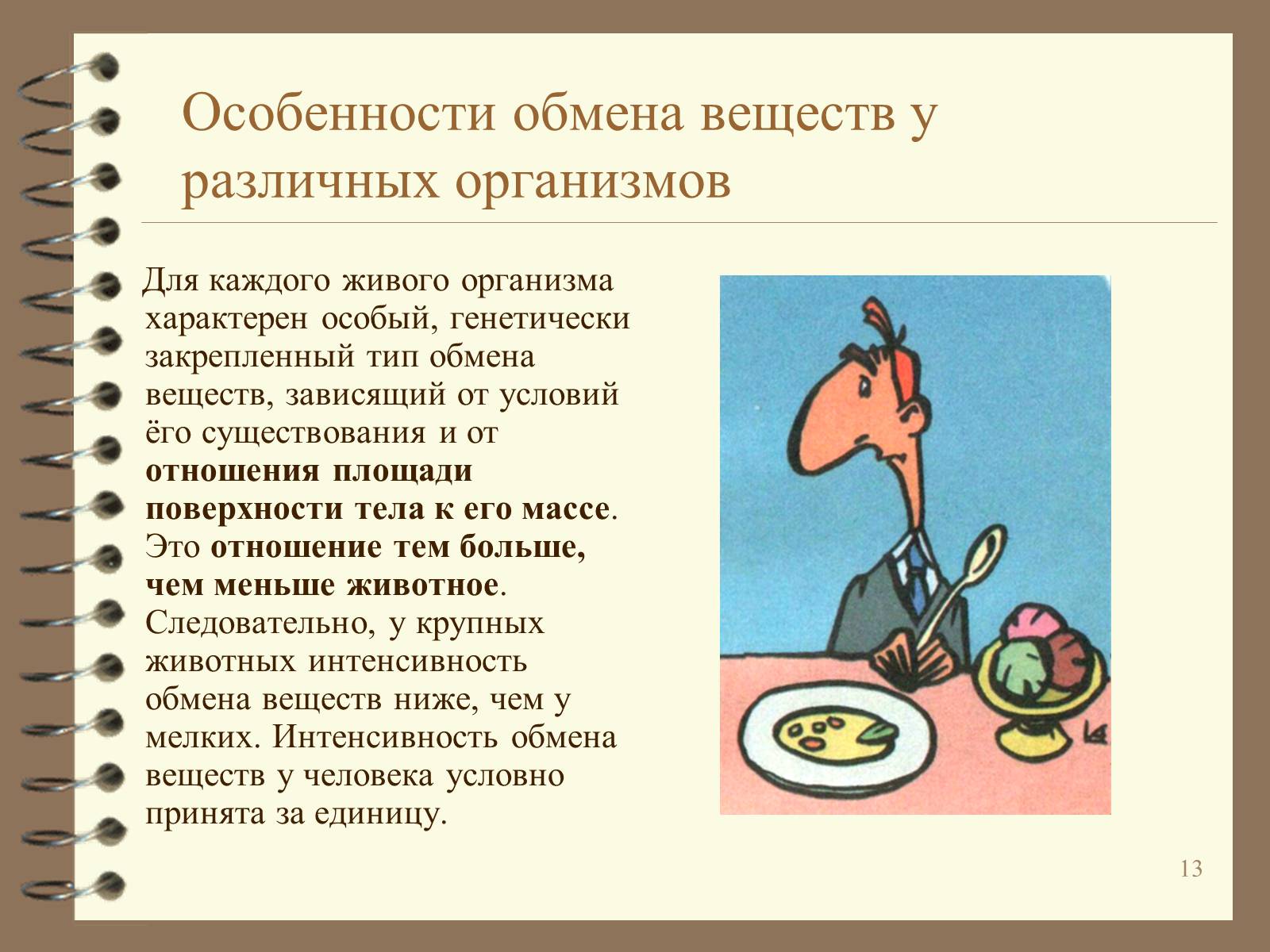 Презентація на тему «Метаболизм» - Слайд #13 Презентація на тему «Метаболизм» - Слайд #13