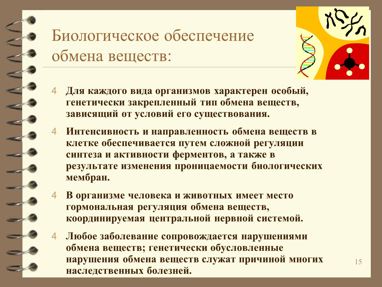 Презентація на тему «Метаболизм» - Слайд #15 Презентація на тему «Метаболизм» - Слайд #15