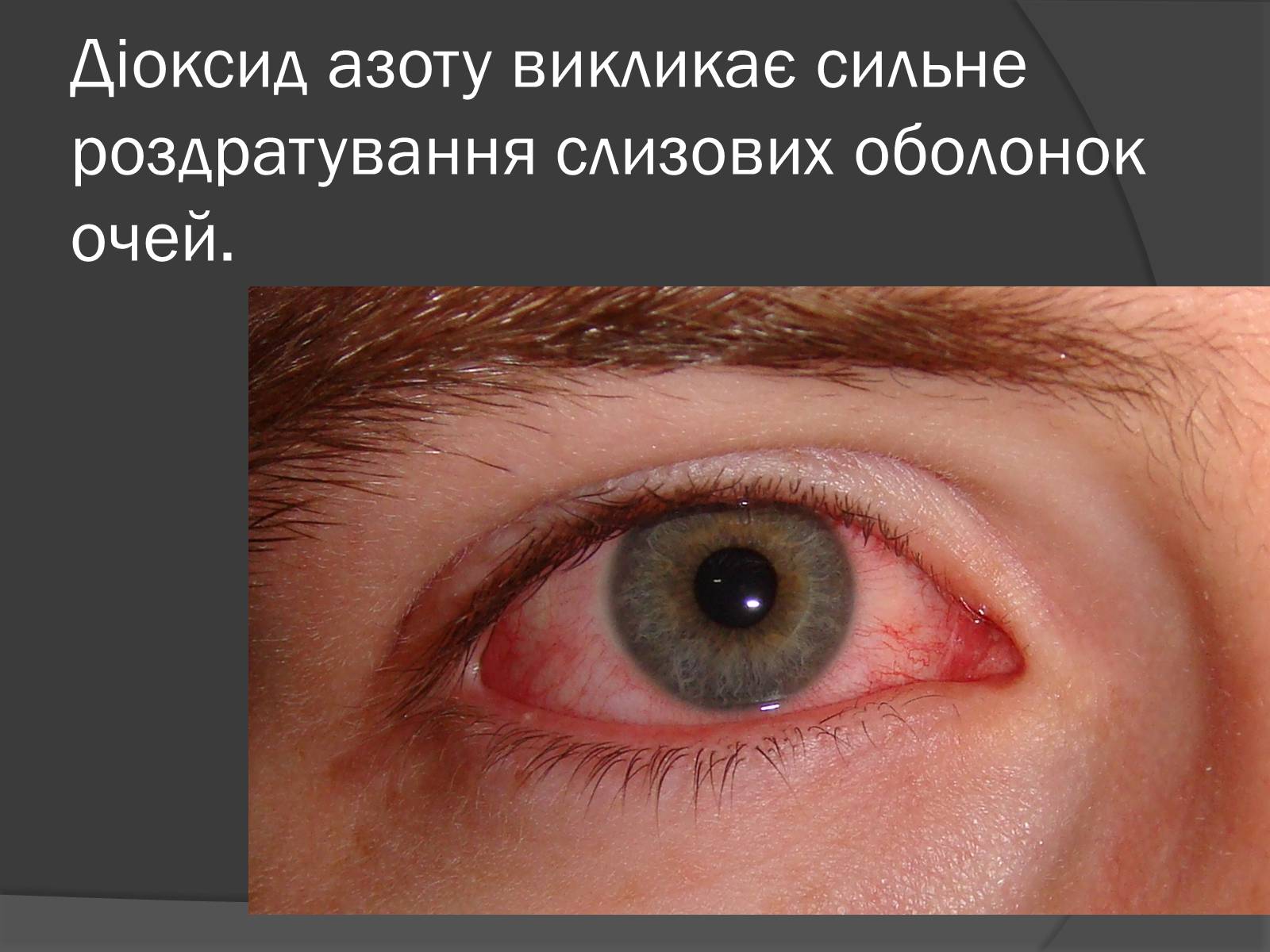 Презентація на тему «Екологічні проблеми, пов’язані з використанням теплових машин і двигунів» - Слайд #16 Презентація на тему «Екологічні проблеми, пов’язані з використанням теплових машин і двигунів» - Слайд #16