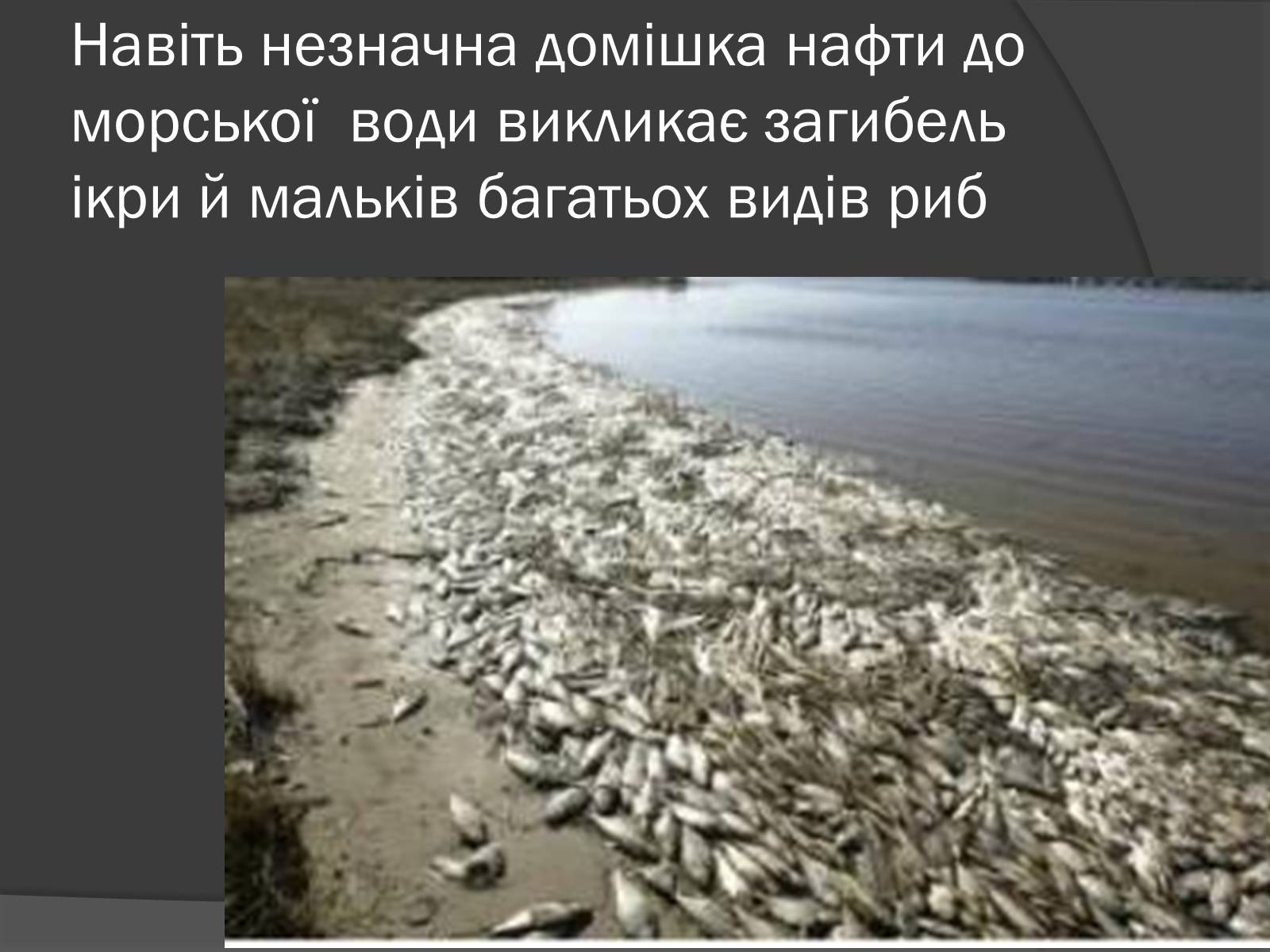 Презентація на тему «Екологічні проблеми, пов’язані з використанням теплових машин і двигунів» - Слайд #9 Презентація на тему «Екологічні проблеми, пов’язані з використанням теплових машин і двигунів» - Слайд #9