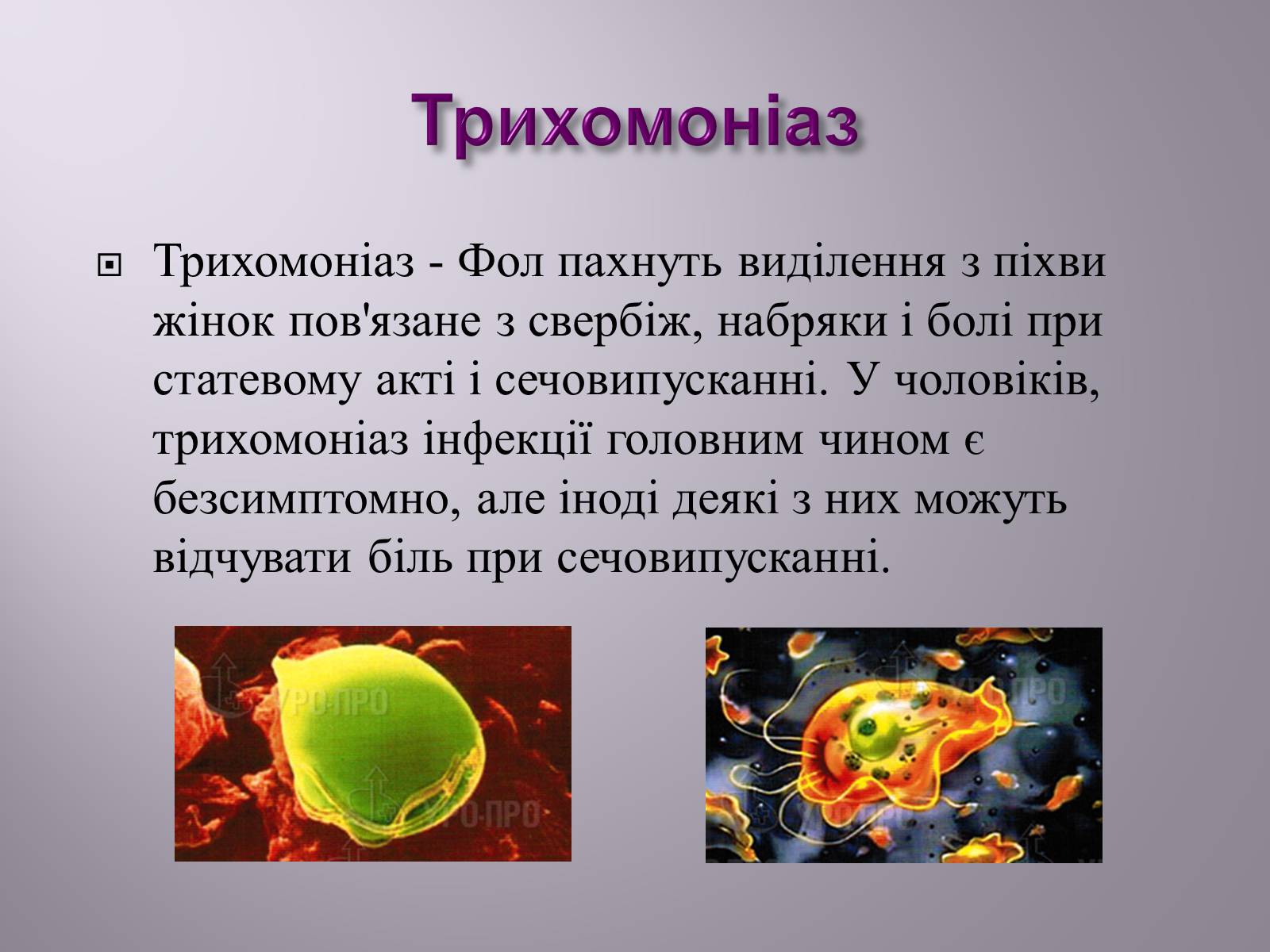 Презентація на тему «Венеричні хвороби» - Слайд #14 Презентація на тему «Венеричні хвороби» - Слайд #14