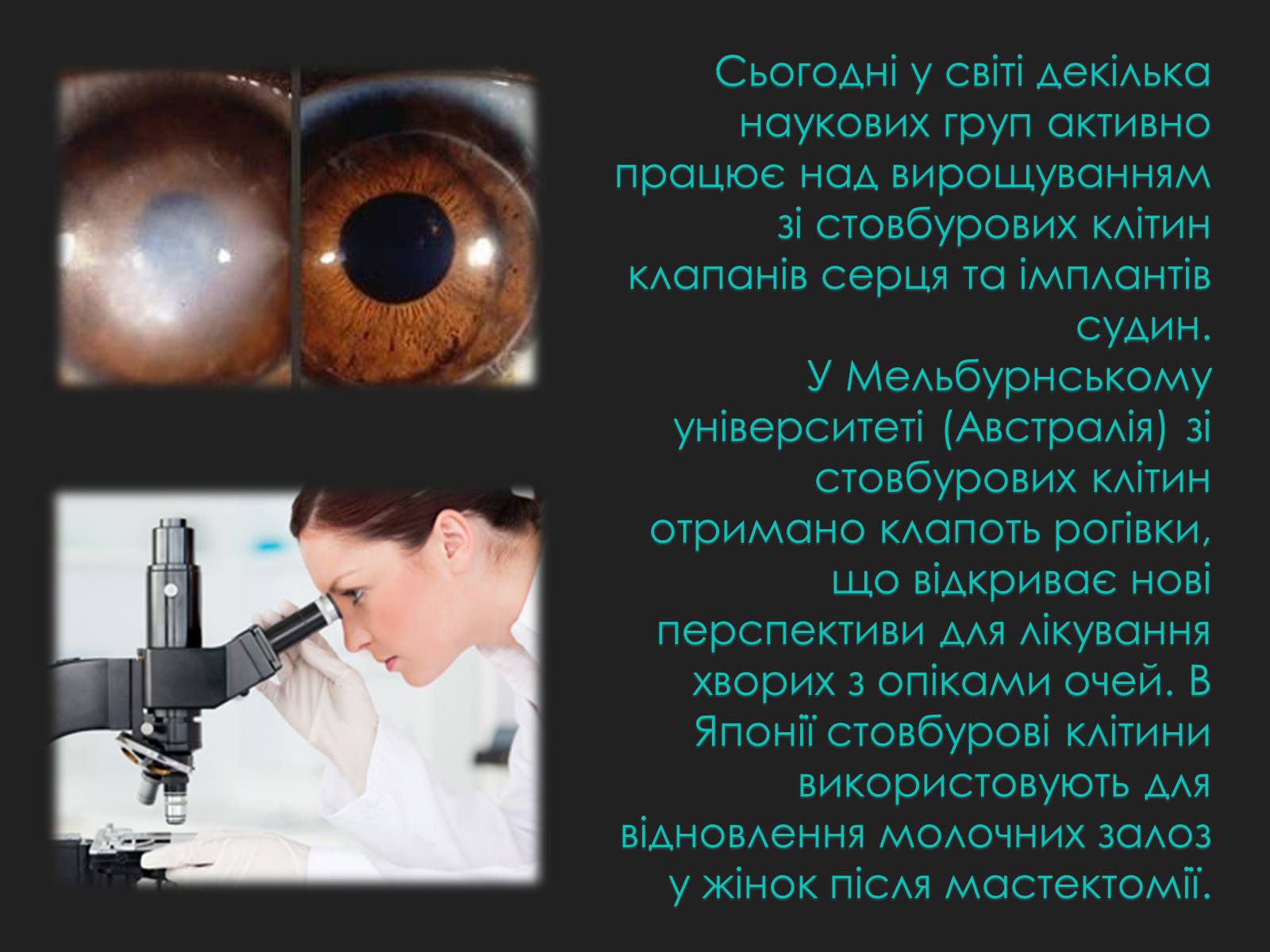 Презентація на тему «Гістотехнології» (варіант 2) - Слайд #13 Презентація на тему «Гістотехнології» (варіант 2) - Слайд #13