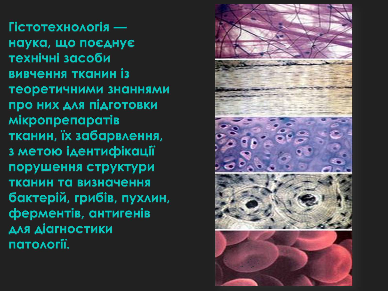 Презентація на тему «Гістотехнології» (варіант 2) - Слайд #2 Презентація на тему «Гістотехнології» (варіант 2) - Слайд #2