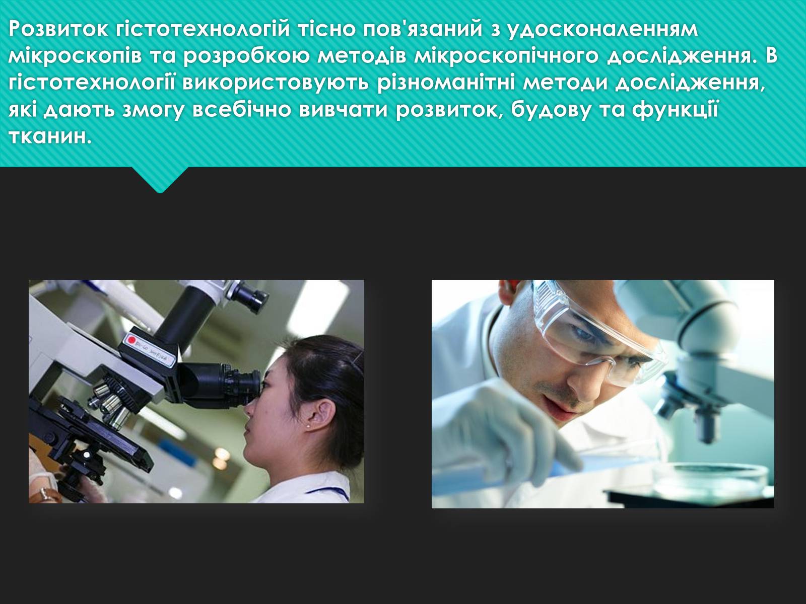 Презентація на тему «Гістотехнології» (варіант 2) - Слайд #4 Презентація на тему «Гістотехнології» (варіант 2) - Слайд #4