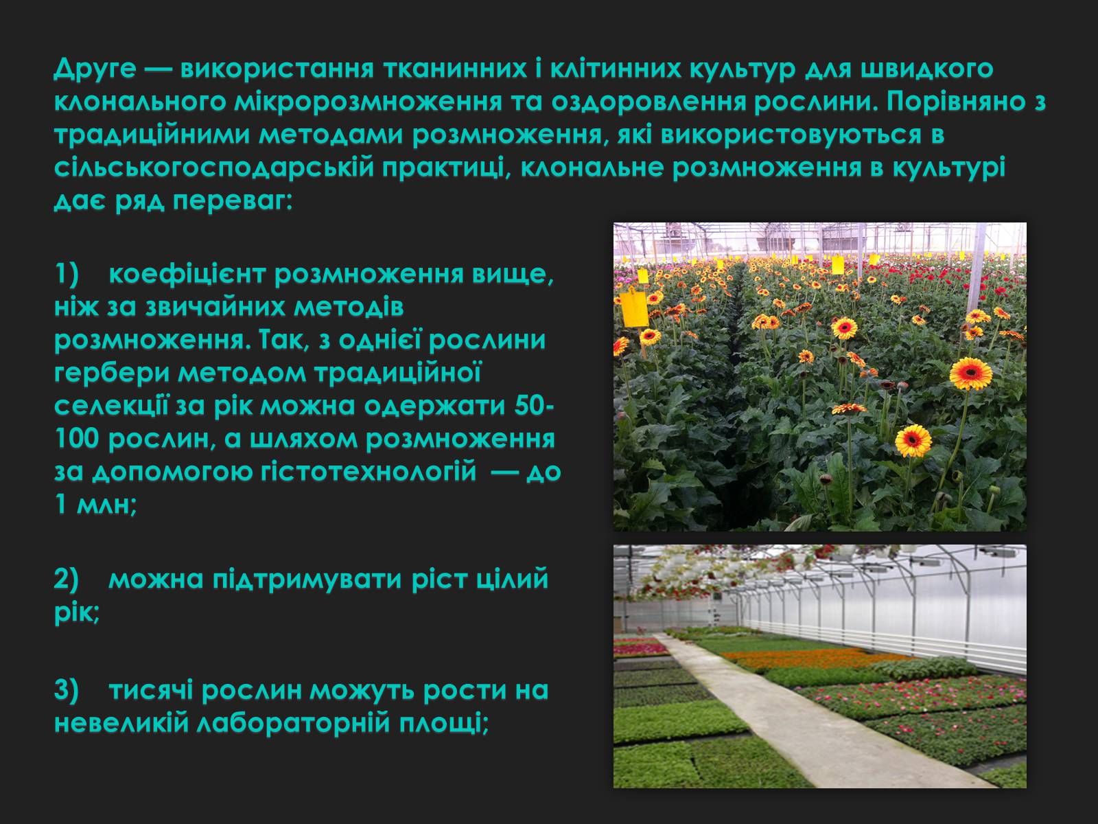 Презентація на тему «Гістотехнології» (варіант 2) - Слайд #8 Презентація на тему «Гістотехнології» (варіант 2) - Слайд #8