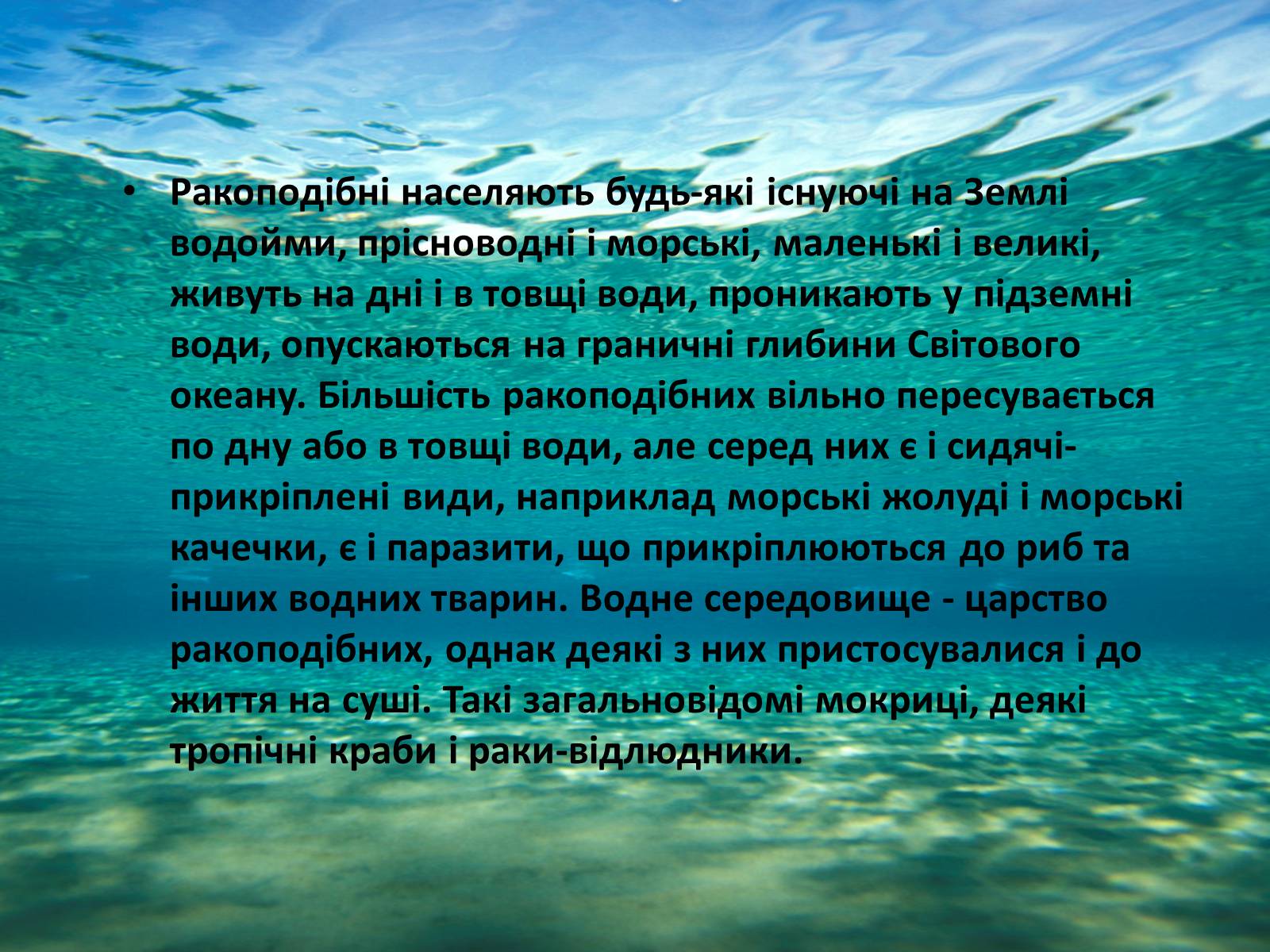 Презентація на тему «Різноманітність ракоподібних» (варіант 1) - Слайд #2 Презентація на тему «Різноманітність ракоподібних» (варіант 1) - Слайд #2