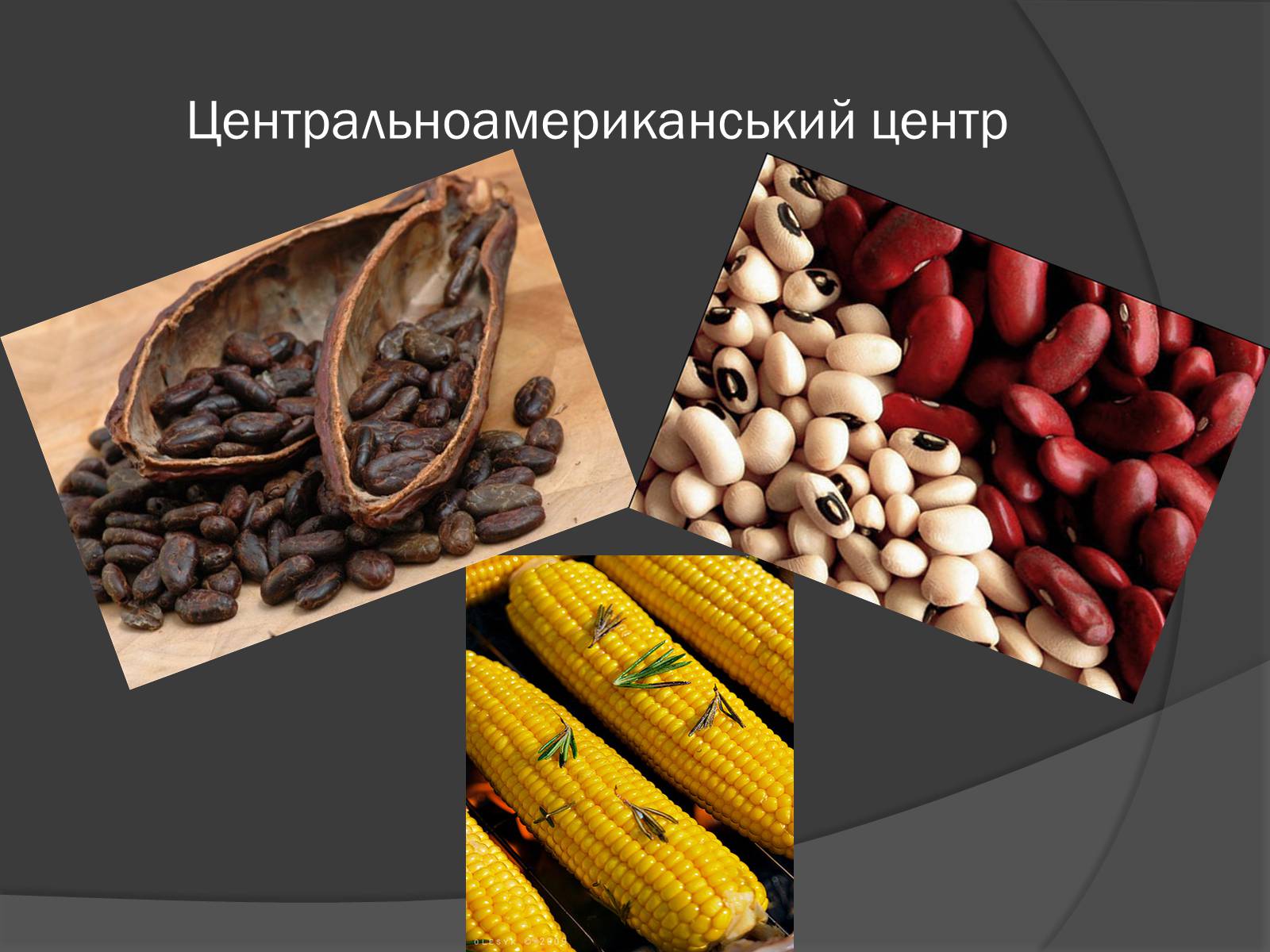 Презентація на тему «Центри різноманітності та походження культурних рослин» - Слайд #10 Презентація на тему «Центри різноманітності та походження культурних рослин» - Слайд #10