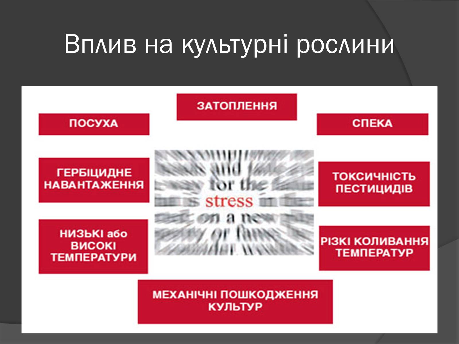 Презентація на тему «Центри різноманітності та походження культурних рослин» - Слайд #12 Презентація на тему «Центри різноманітності та походження культурних рослин» - Слайд #12