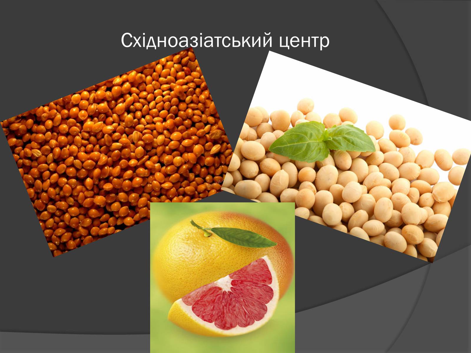 Презентація на тему «Центри різноманітності та походження культурних рослин» - Слайд #6 Презентація на тему «Центри різноманітності та походження культурних рослин» - Слайд #6