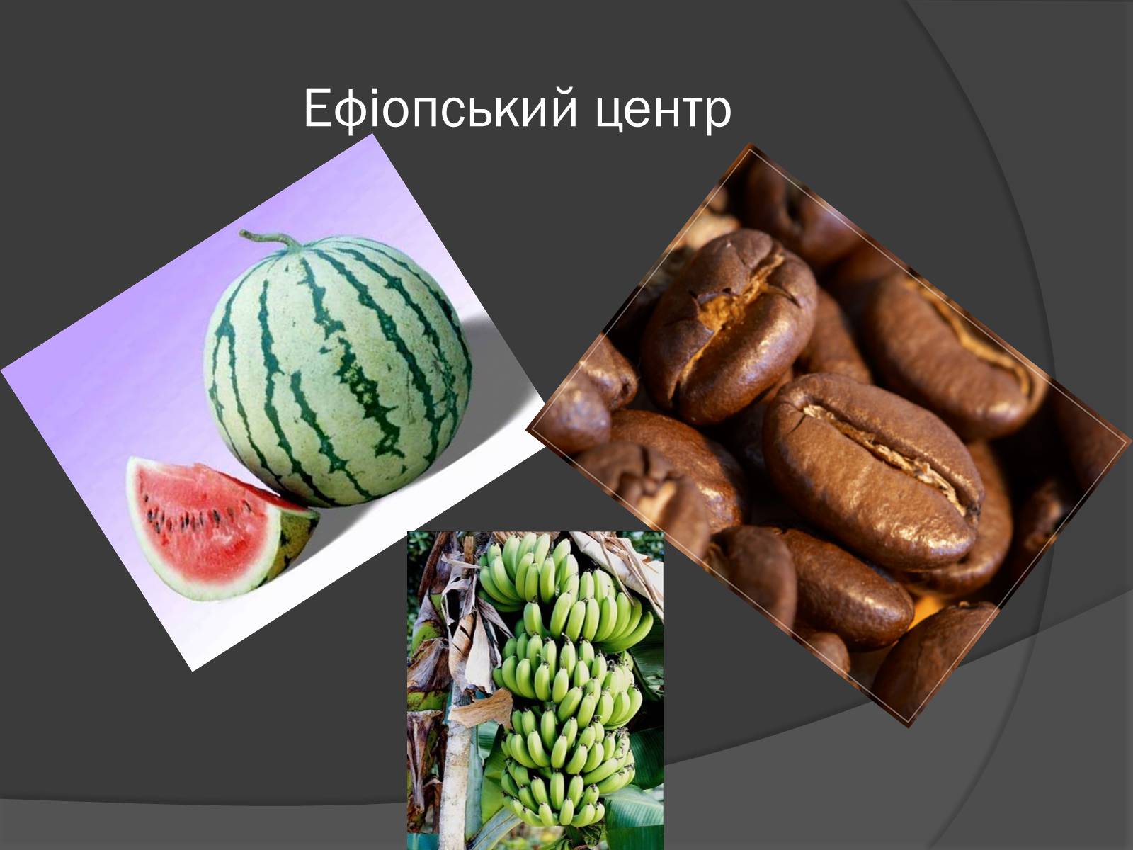 Презентація на тему «Центри різноманітності та походження культурних рослин» - Слайд #9 Презентація на тему «Центри різноманітності та походження культурних рослин» - Слайд #9