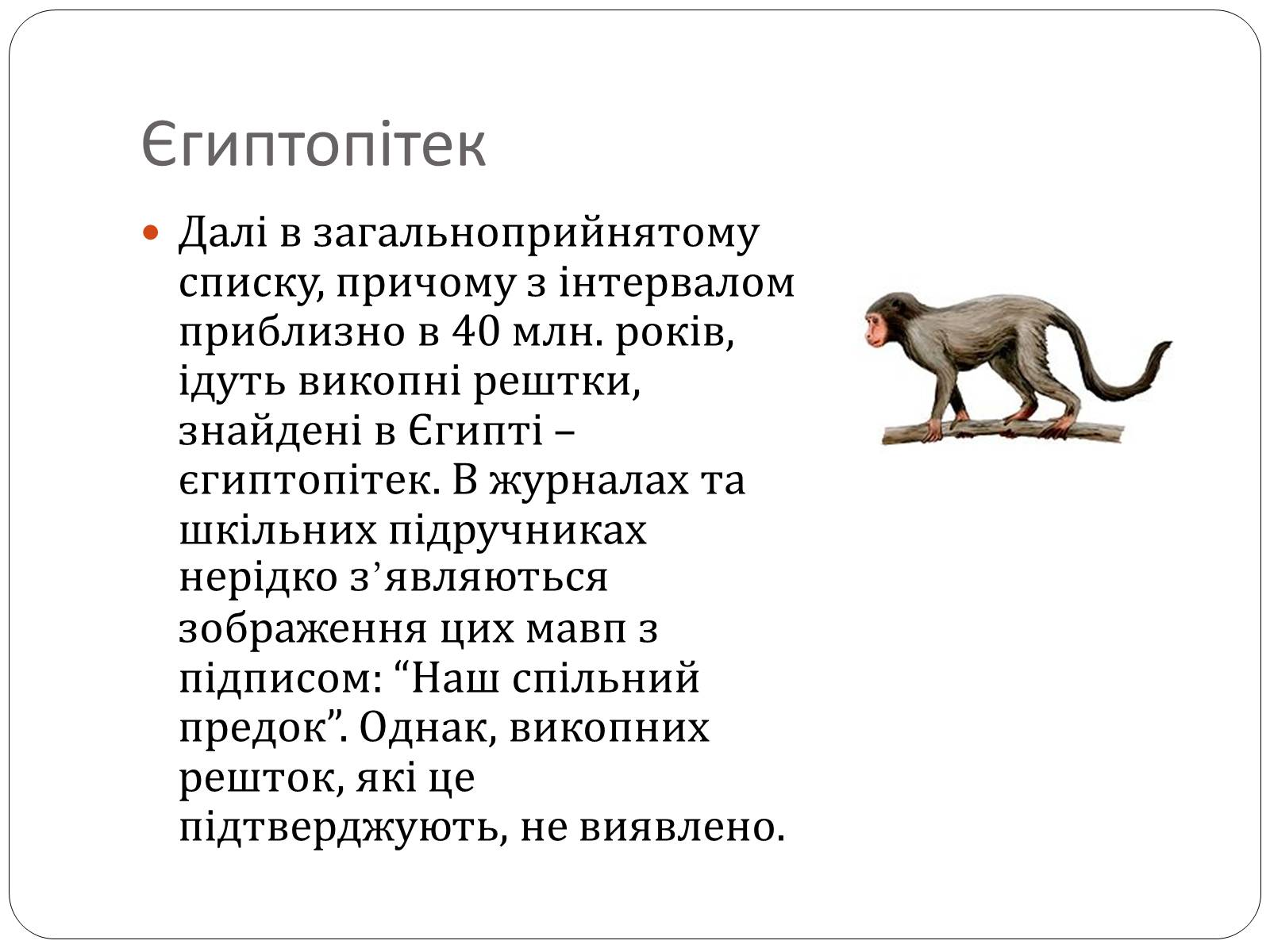 Презентація на тему «Еволюція людини» (варіант 1) - Слайд #10 Презентація на тему «Еволюція людини» (варіант 1) - Слайд #10