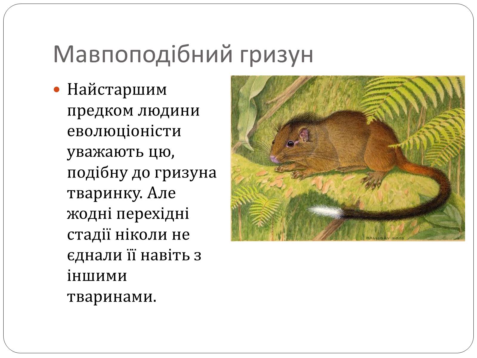 Презентація на тему «Еволюція людини» (варіант 1) - Слайд #9 Презентація на тему «Еволюція людини» (варіант 1) - Слайд #9