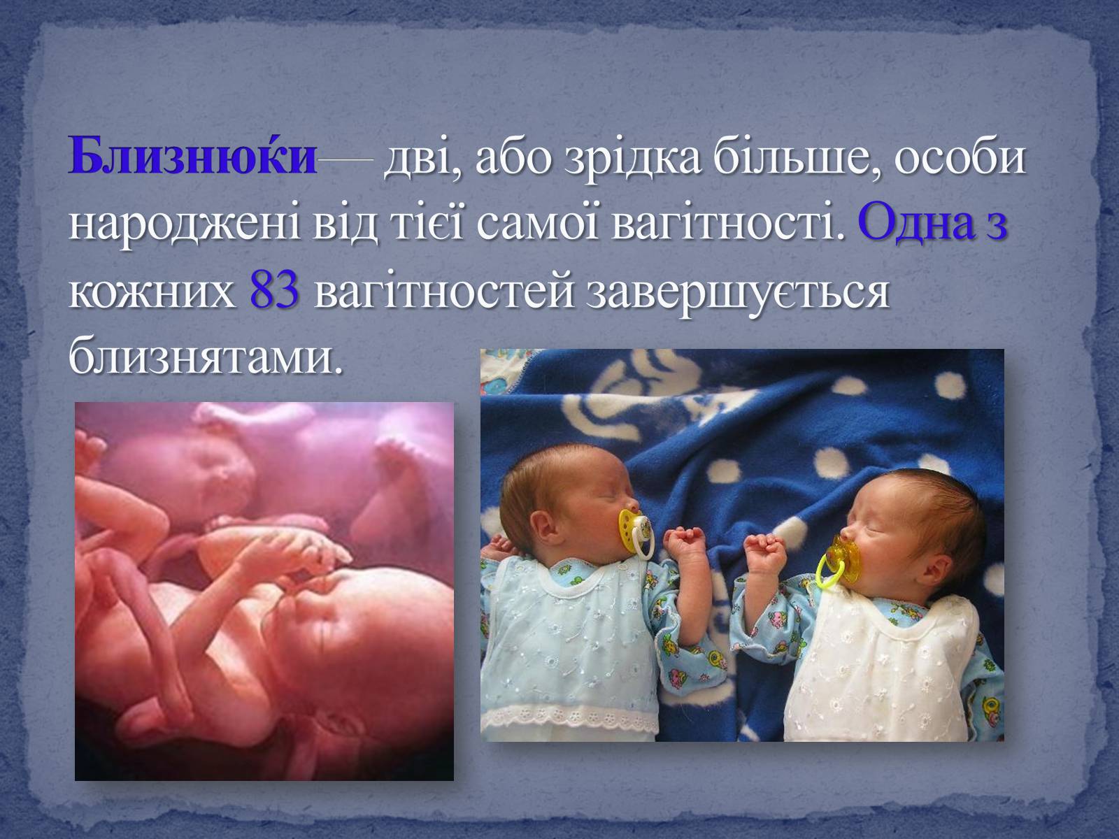 Презентація на тему «Поліембріонія» - Слайд #4 Презентація на тему «Поліембріонія» - Слайд #4