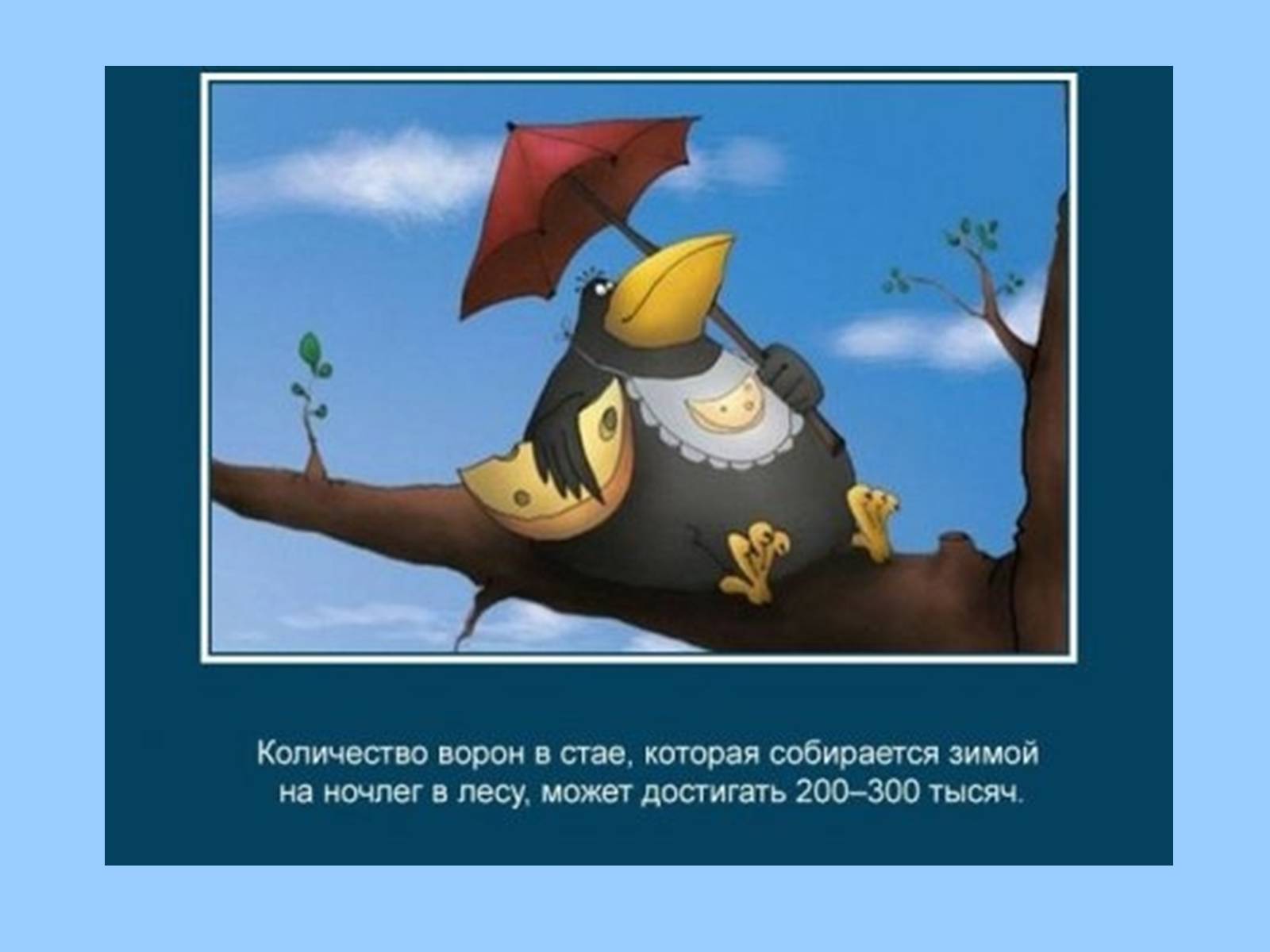 Презентація на тему «Интересные факты из жизни животных» - Слайд #15 Презентація на тему «Интересные факты из жизни животных» - Слайд #15