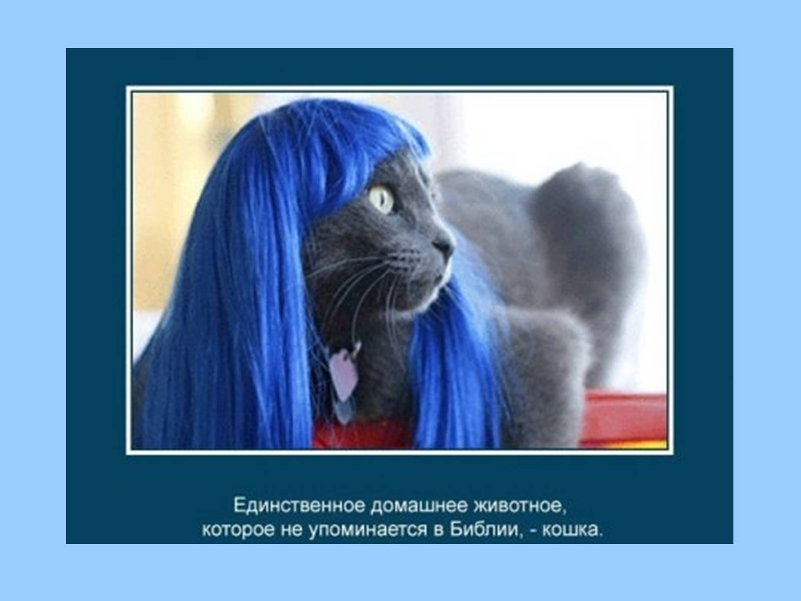 Презентація на тему «Интересные факты из жизни животных» - Слайд #4 Презентація на тему «Интересные факты из жизни животных» - Слайд #4