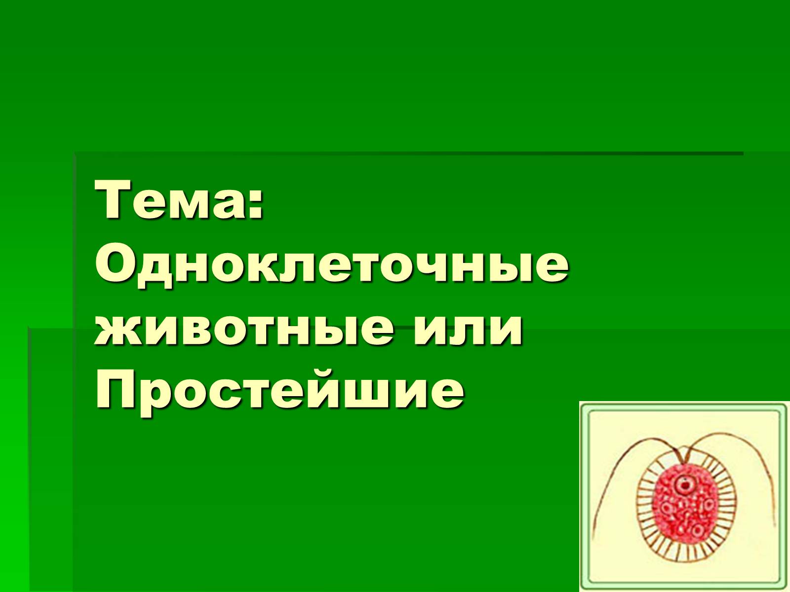 Презентація на тему «Одноклеточные животные или Простейшие» - Слайд #1 Презентація на тему «Одноклеточные животные или Простейшие» - Слайд #1