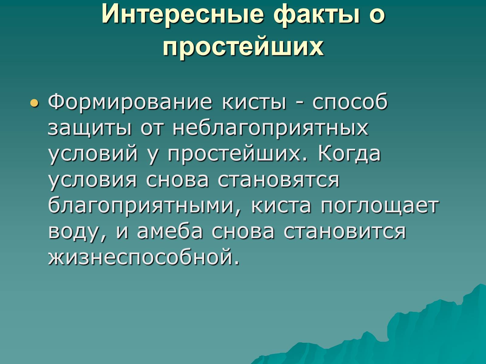 Презентація на тему «Одноклеточные животные или Простейшие» - Слайд #12 Презентація на тему «Одноклеточные животные или Простейшие» - Слайд #12