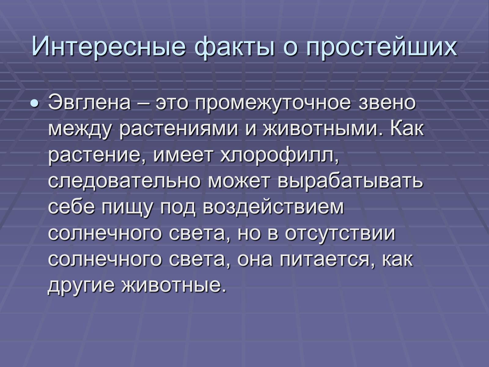 Презентація на тему «Одноклеточные животные или Простейшие» - Слайд #13 Презентація на тему «Одноклеточные животные или Простейшие» - Слайд #13