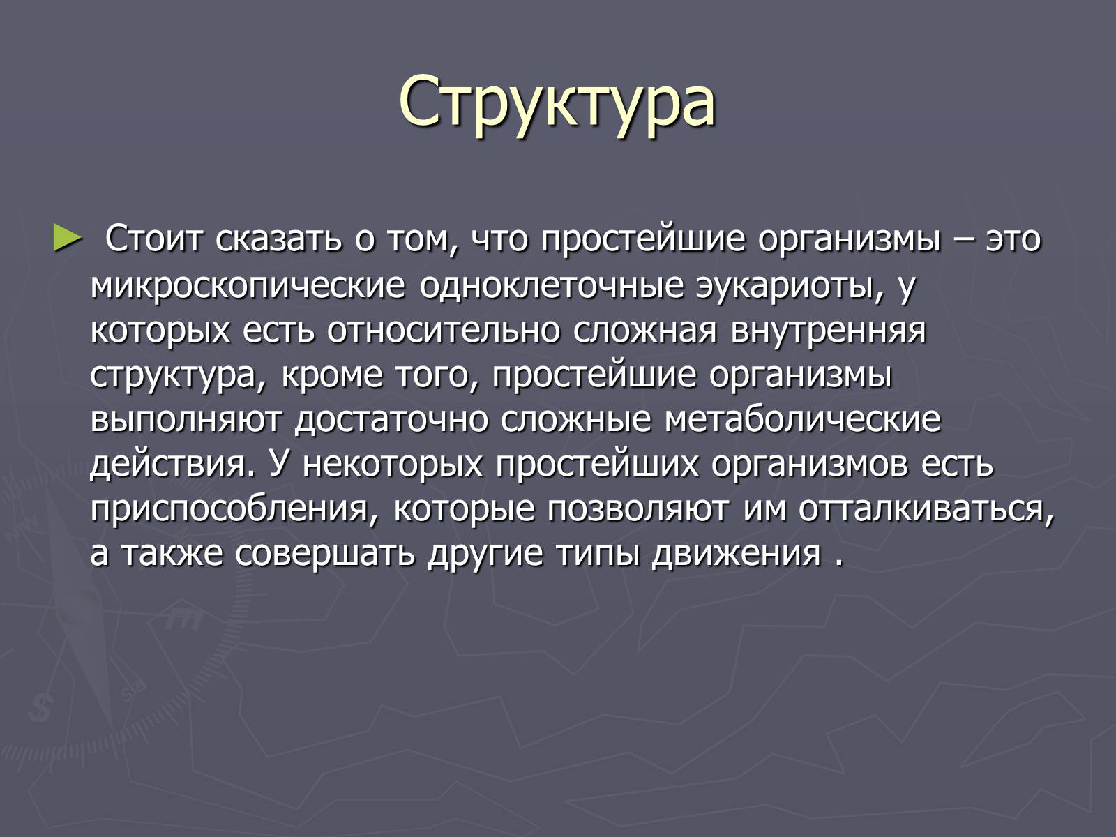 Презентація на тему «Одноклеточные животные или Простейшие» - Слайд #7 Презентація на тему «Одноклеточные животные или Простейшие» - Слайд #7