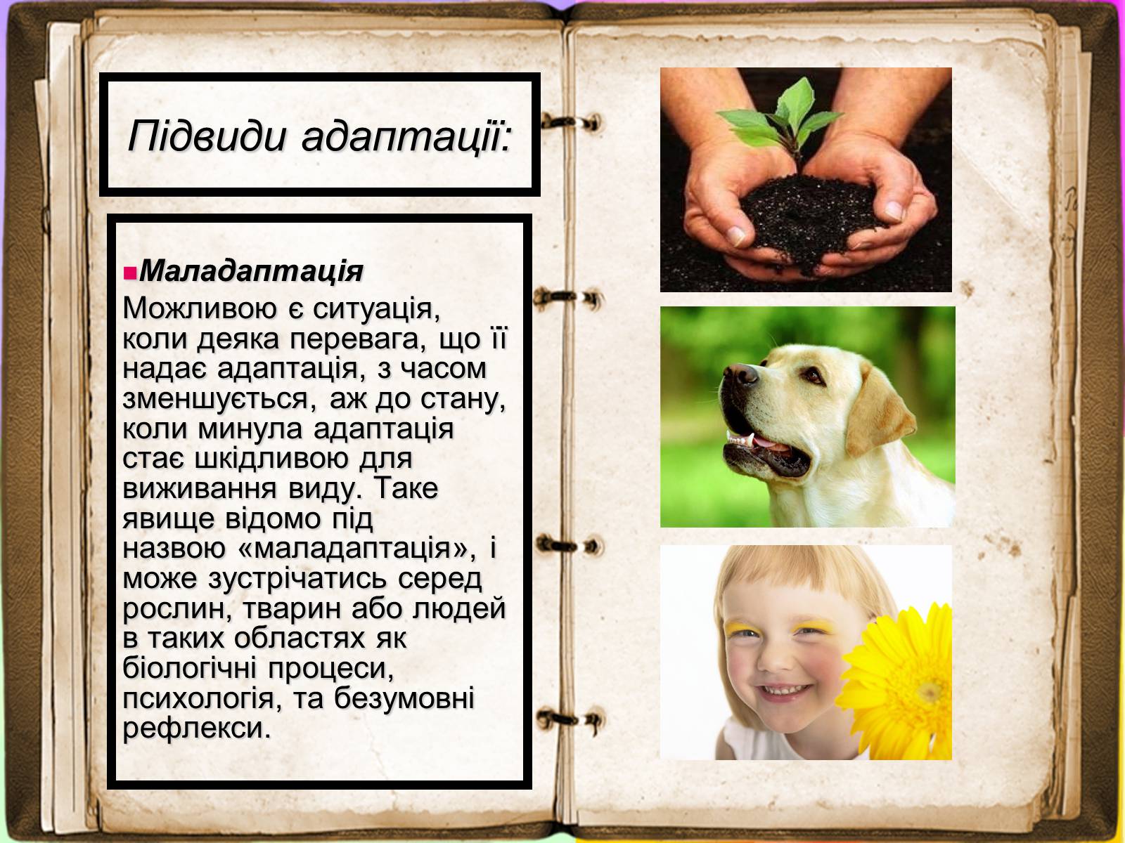 Презентація на тему «Адаптація» - Слайд #10 Презентація на тему «Адаптація» - Слайд #10